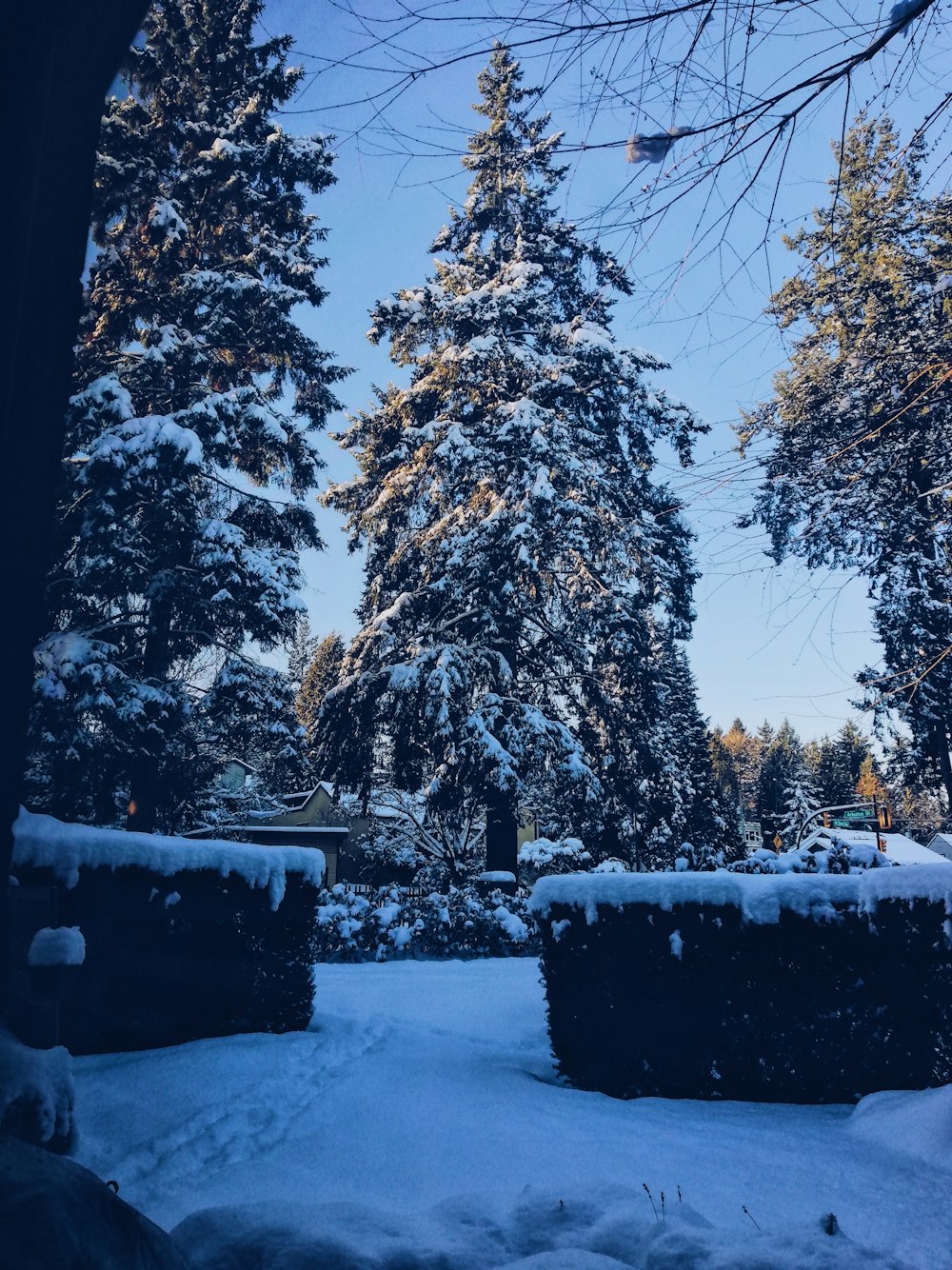 a snow covered park with trees in the background