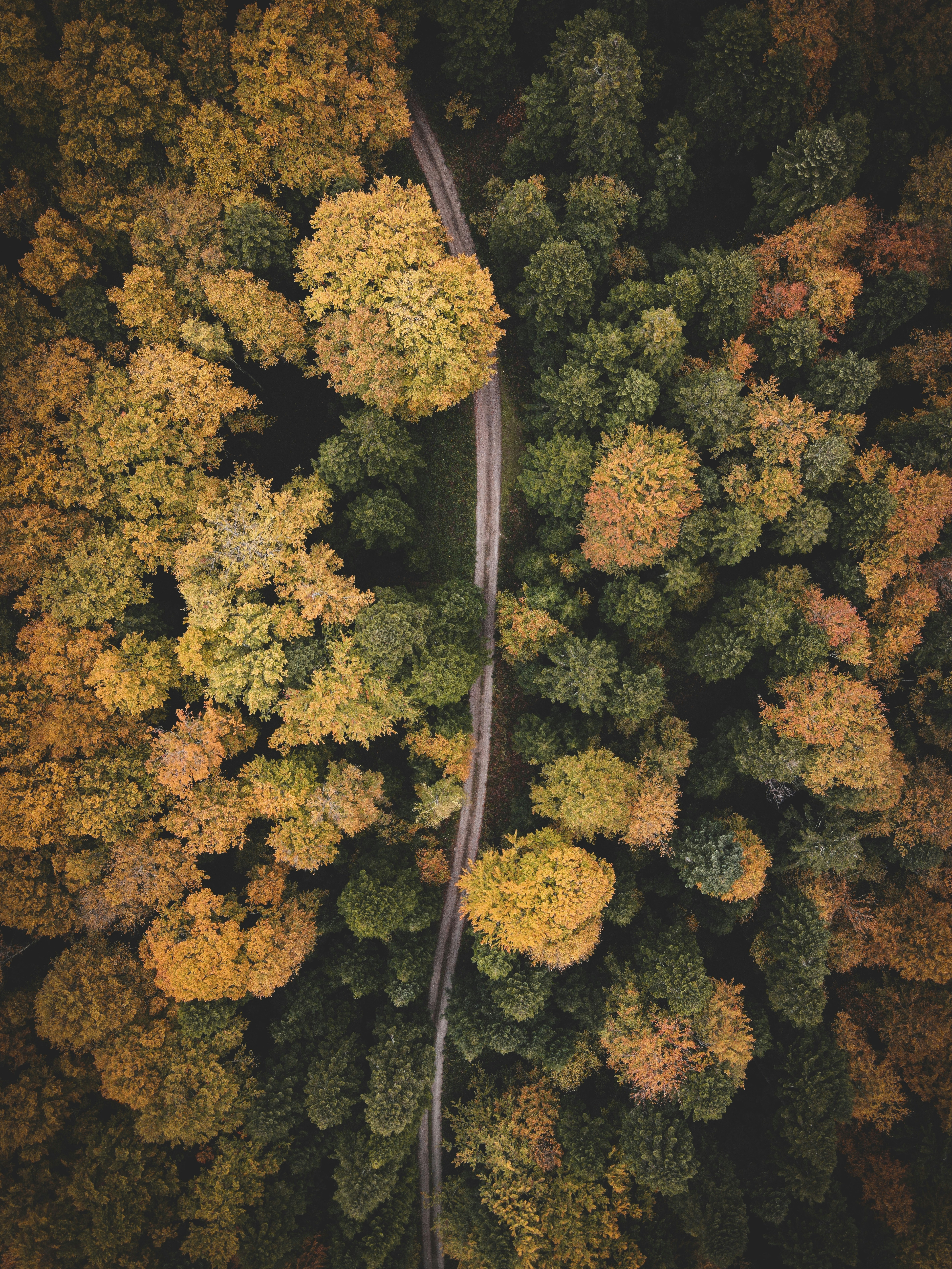 Photo by djordjevukojicic