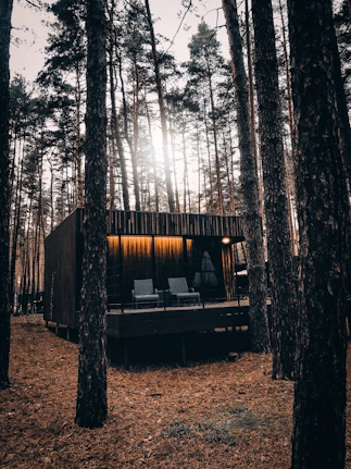 Cozy wooden cabin surrounded by tall pine trees under soft natural light.