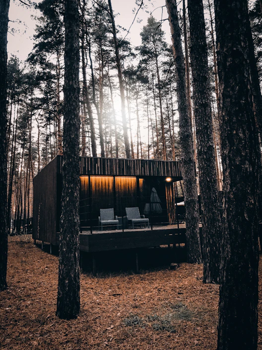 A cozy modular park home nestled among tall trees in Limpopo, bathed in warm sunlight.