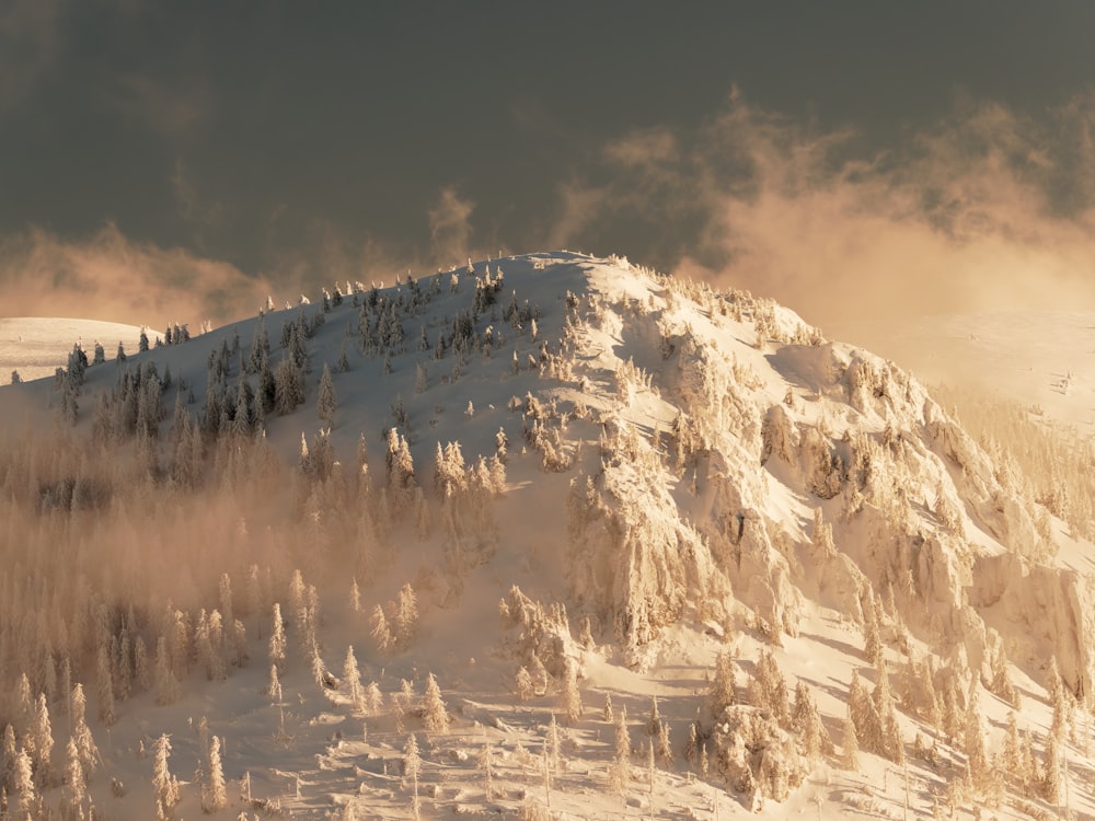 Una montagna coperta di neve e alberi sotto un cielo nuvoloso