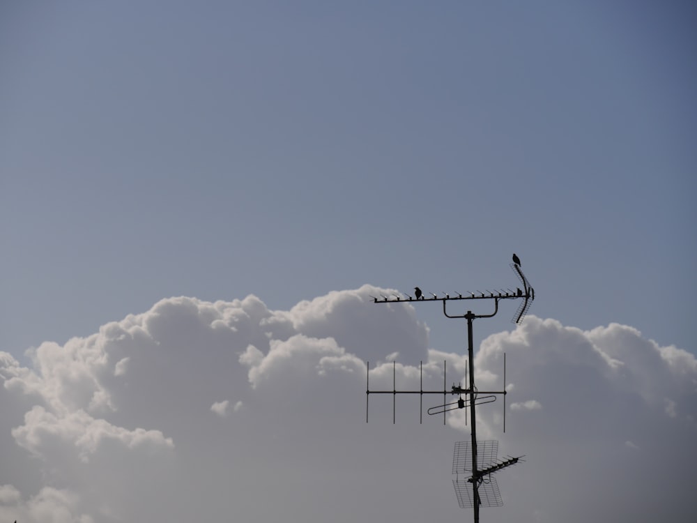 a bird is sitting on top of a weather vane