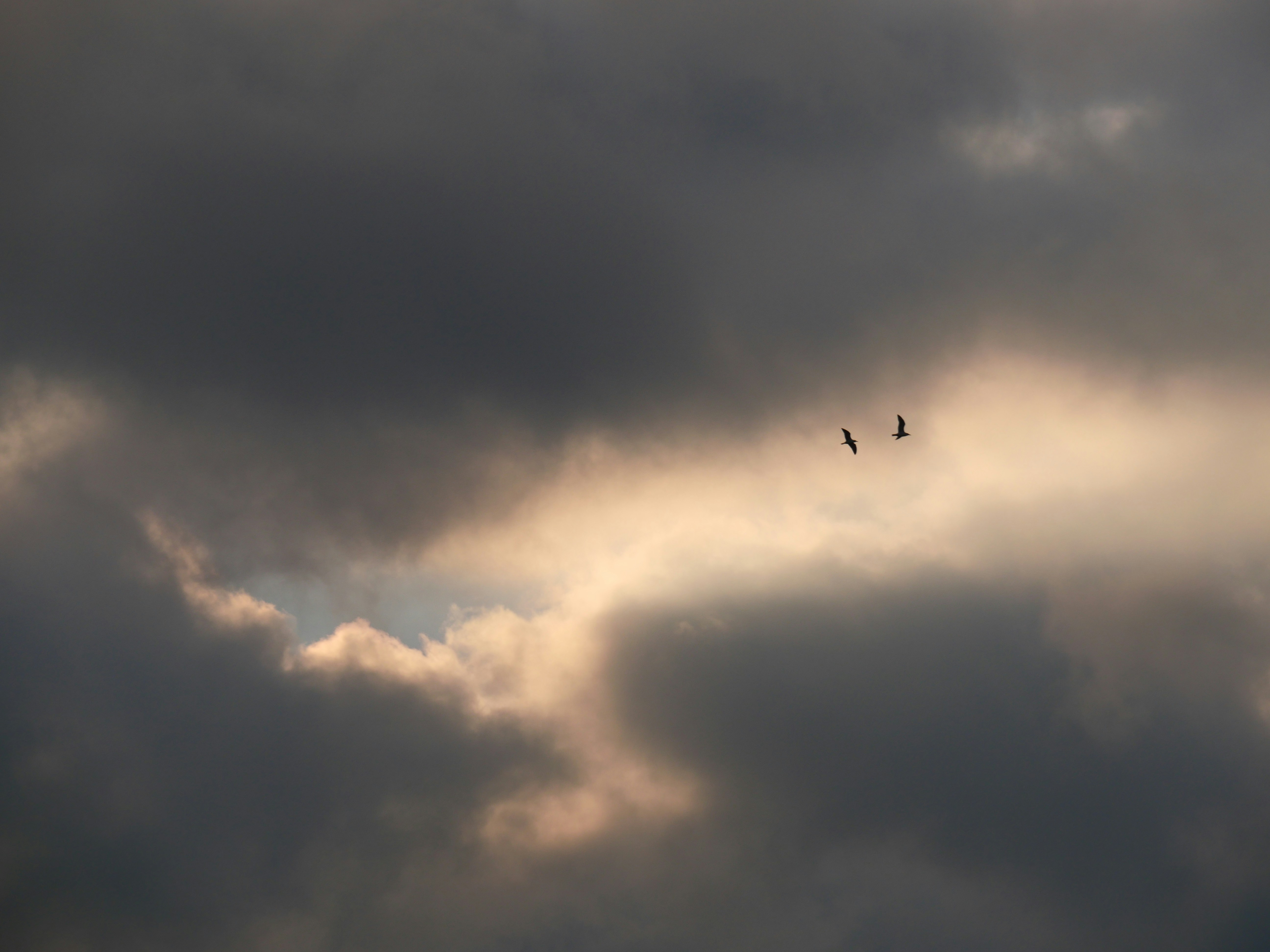 Photo by nimbus_vulpis