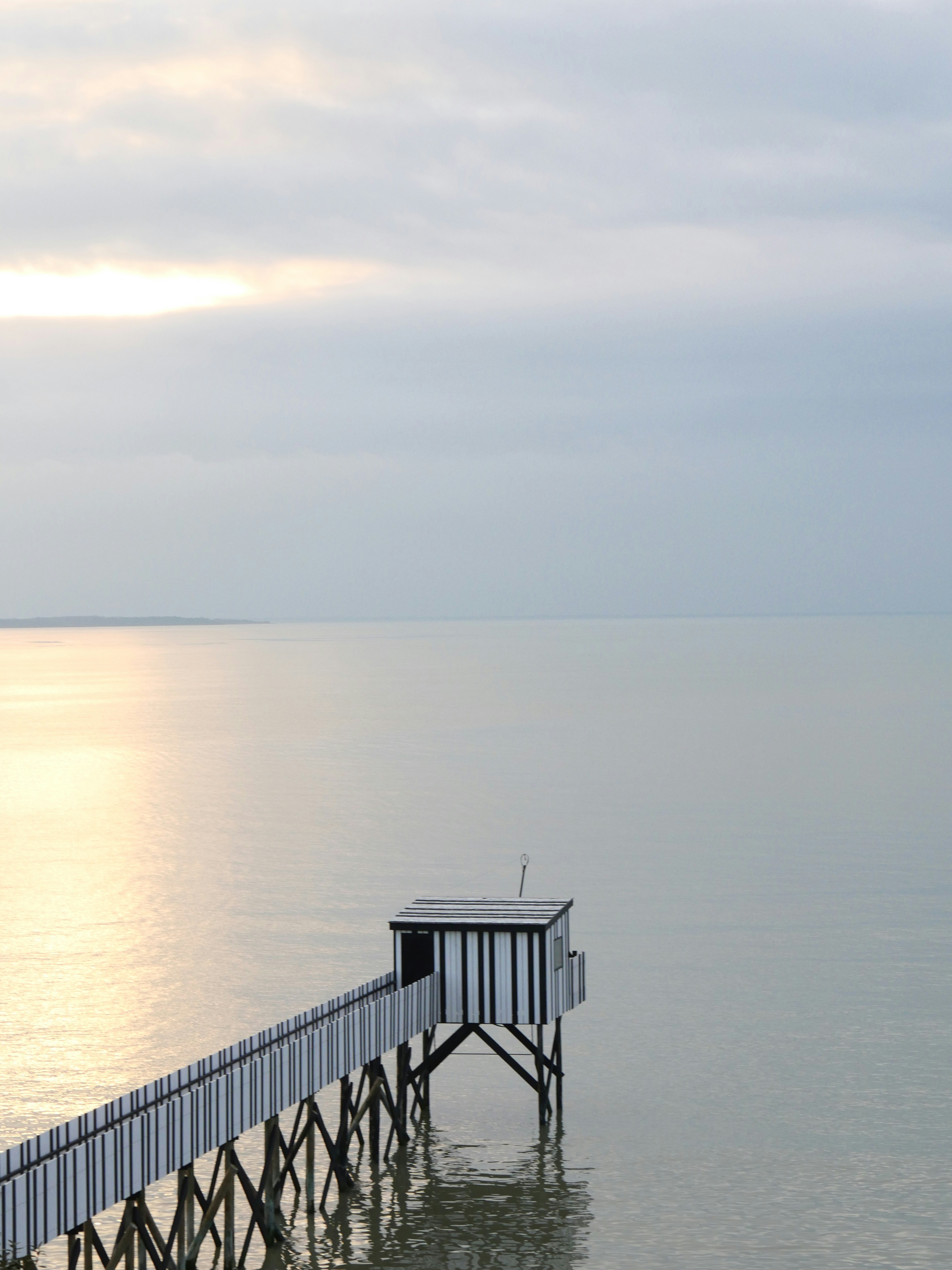 Photo by nimbus_vulpis