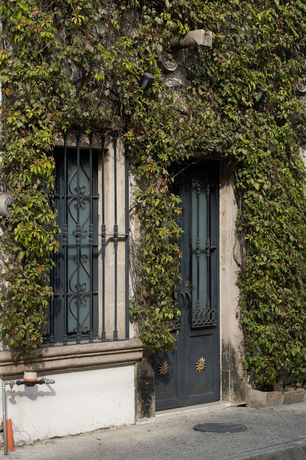 a building covered in vines with a black door