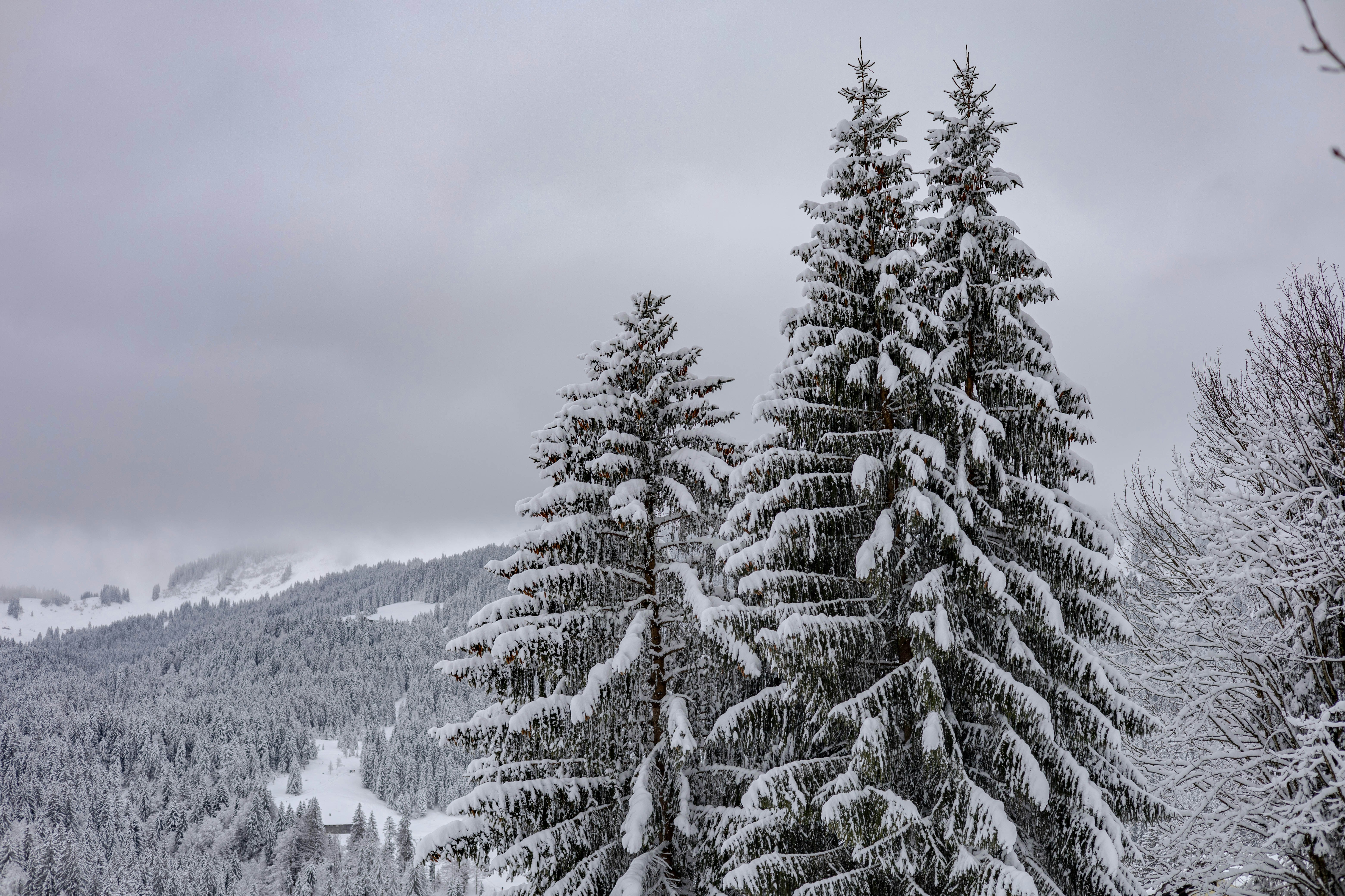 Photo by doeringphotograpy