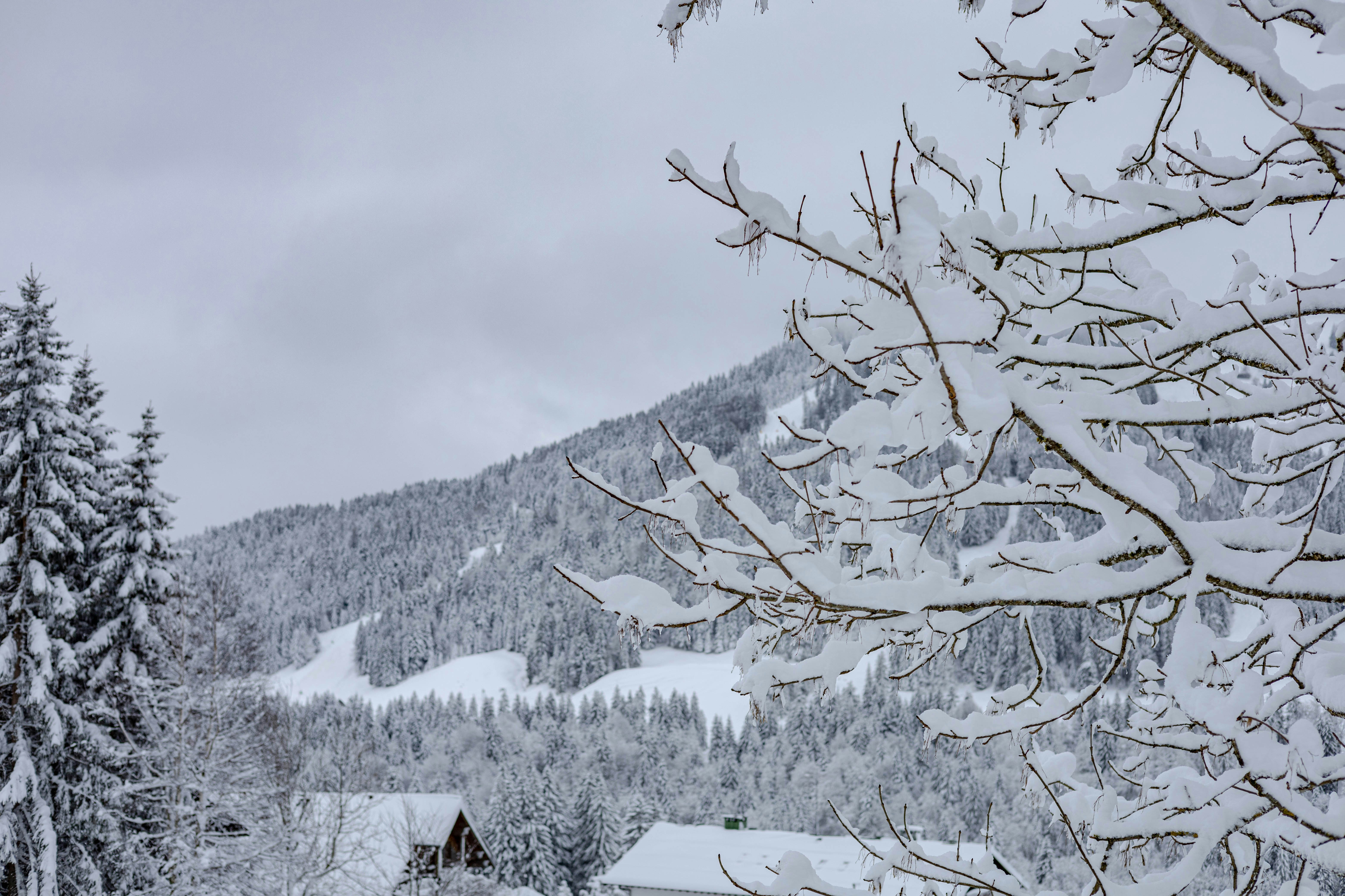 Photo by doeringphotograpy