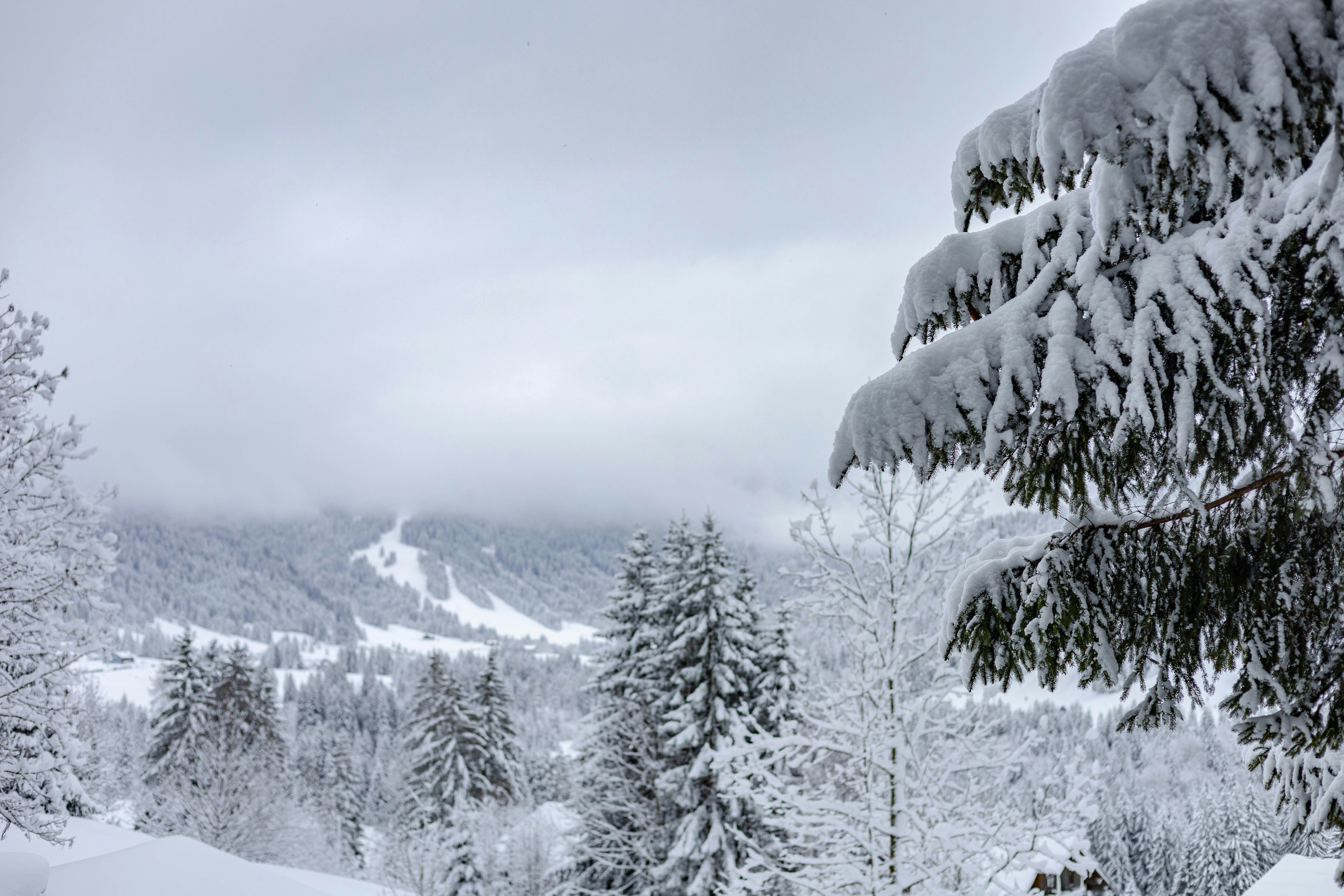 Photo by doeringphotograpy