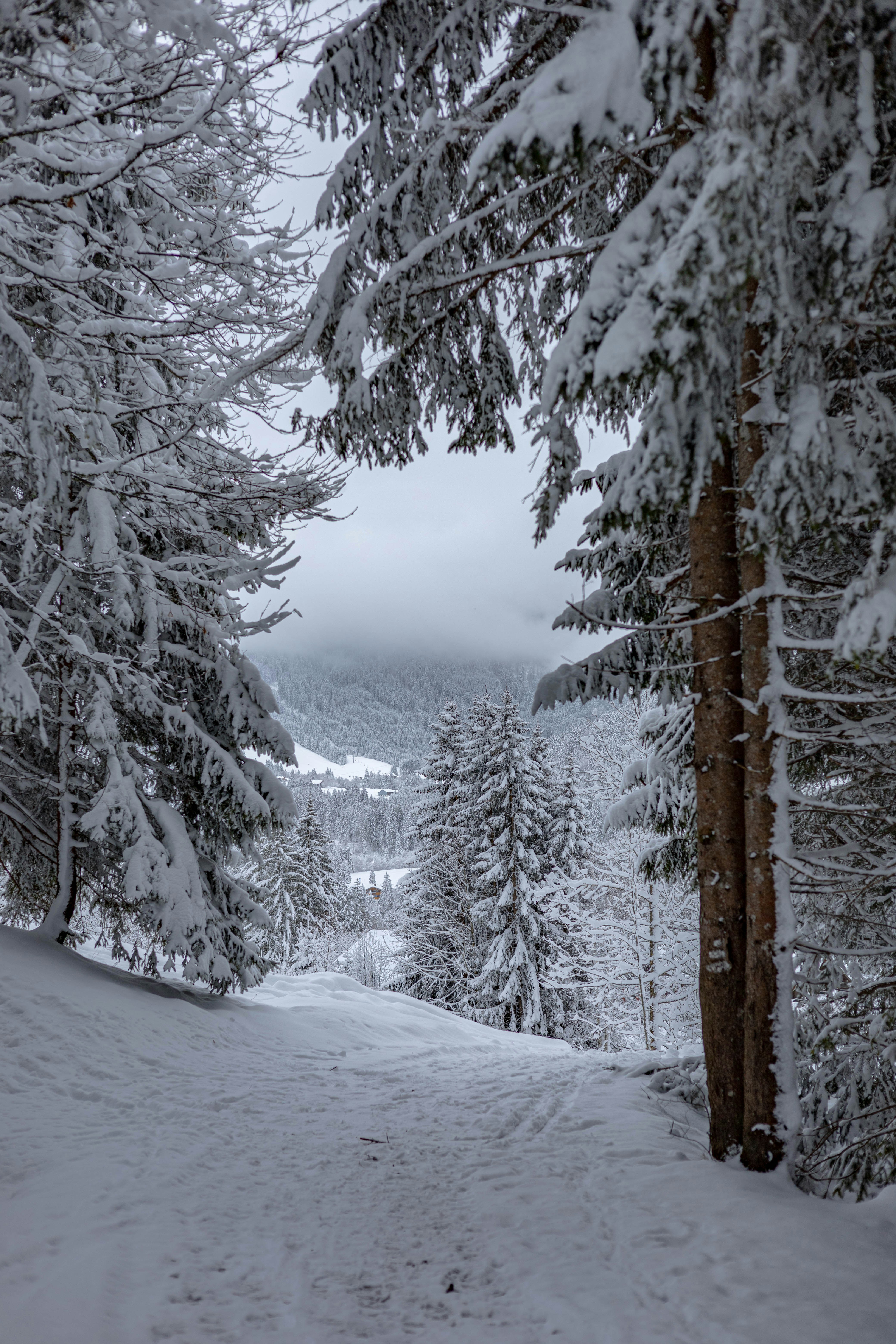 Photo by doeringphotograpy