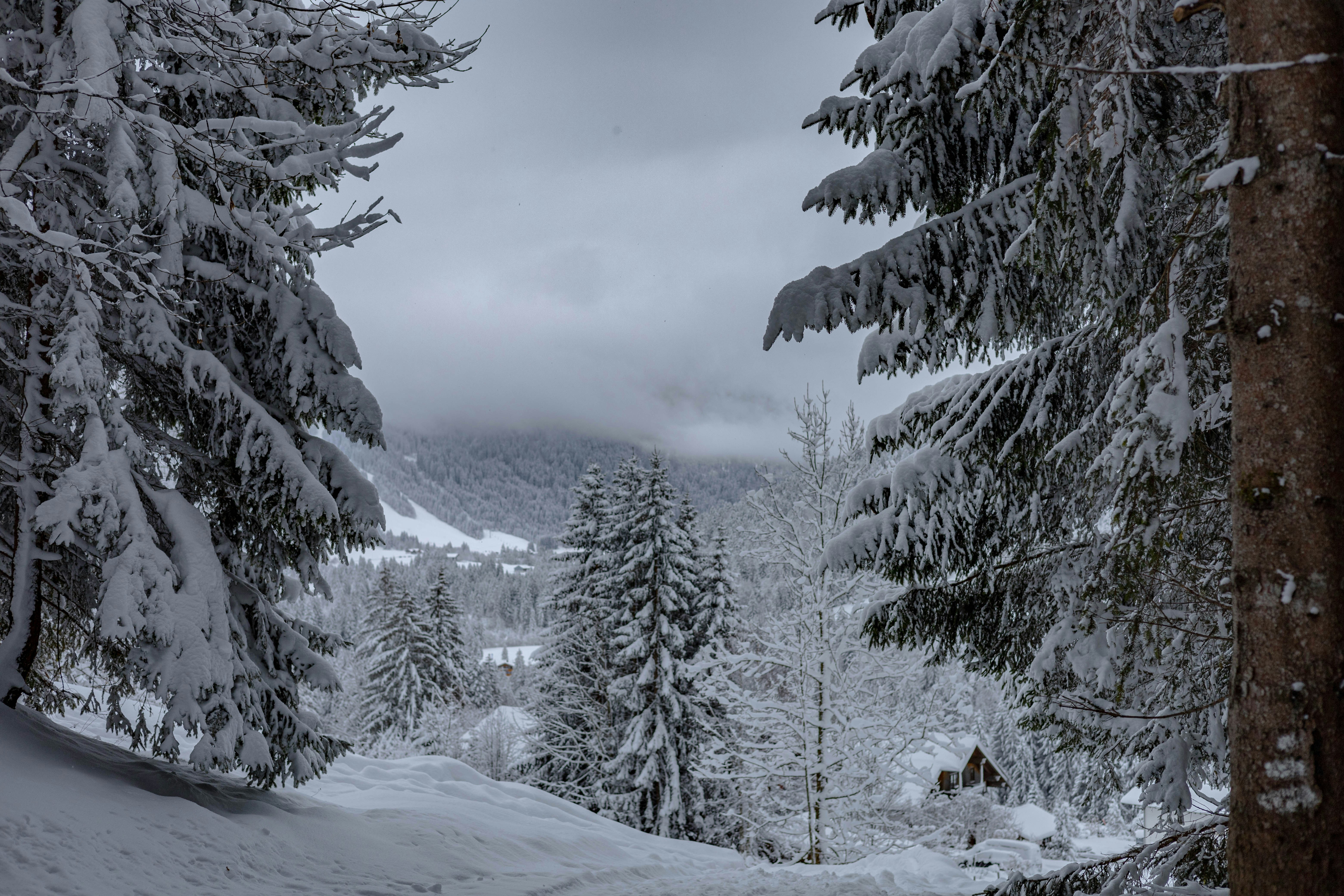 Photo by doeringphotograpy