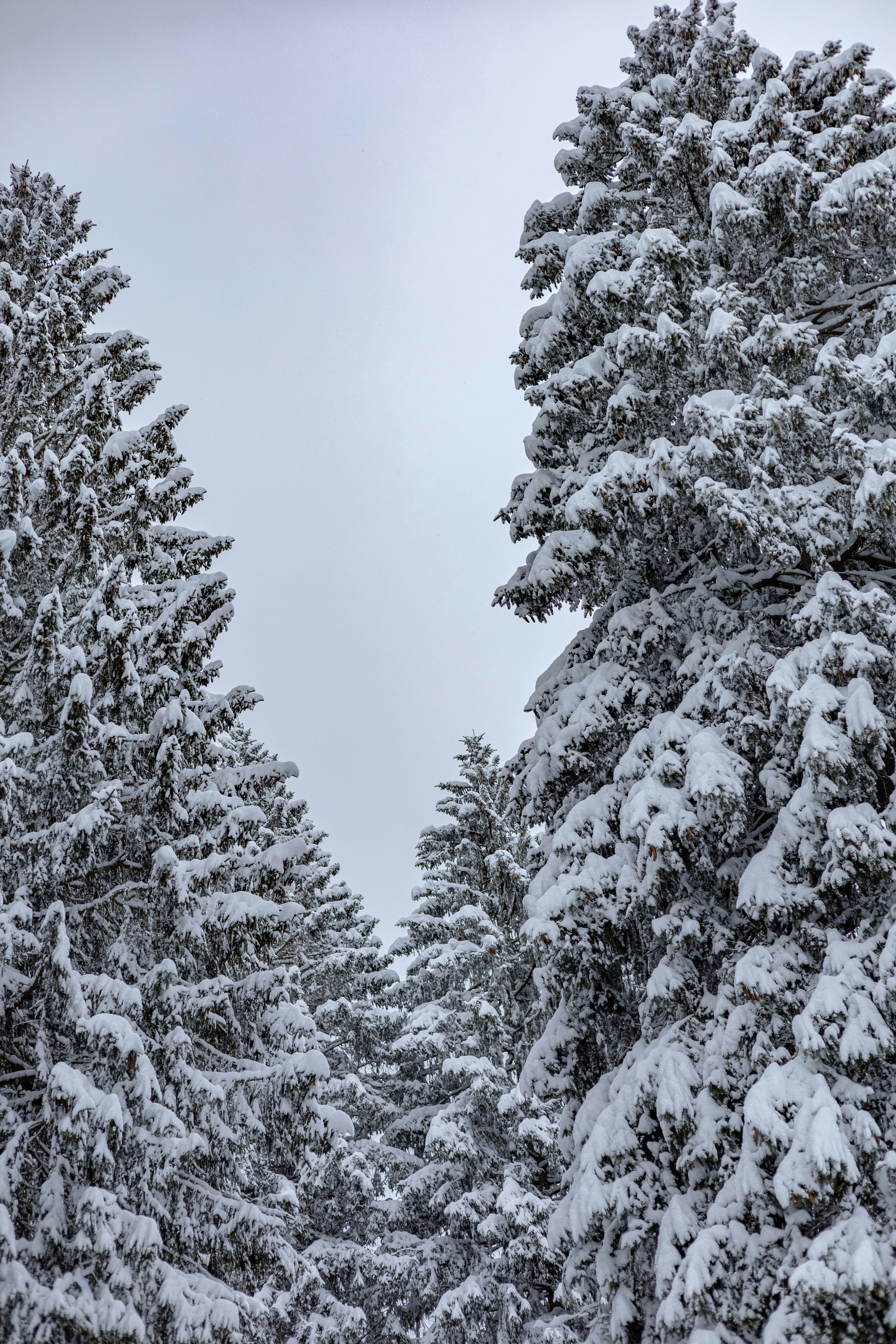 Photo by doeringphotograpy