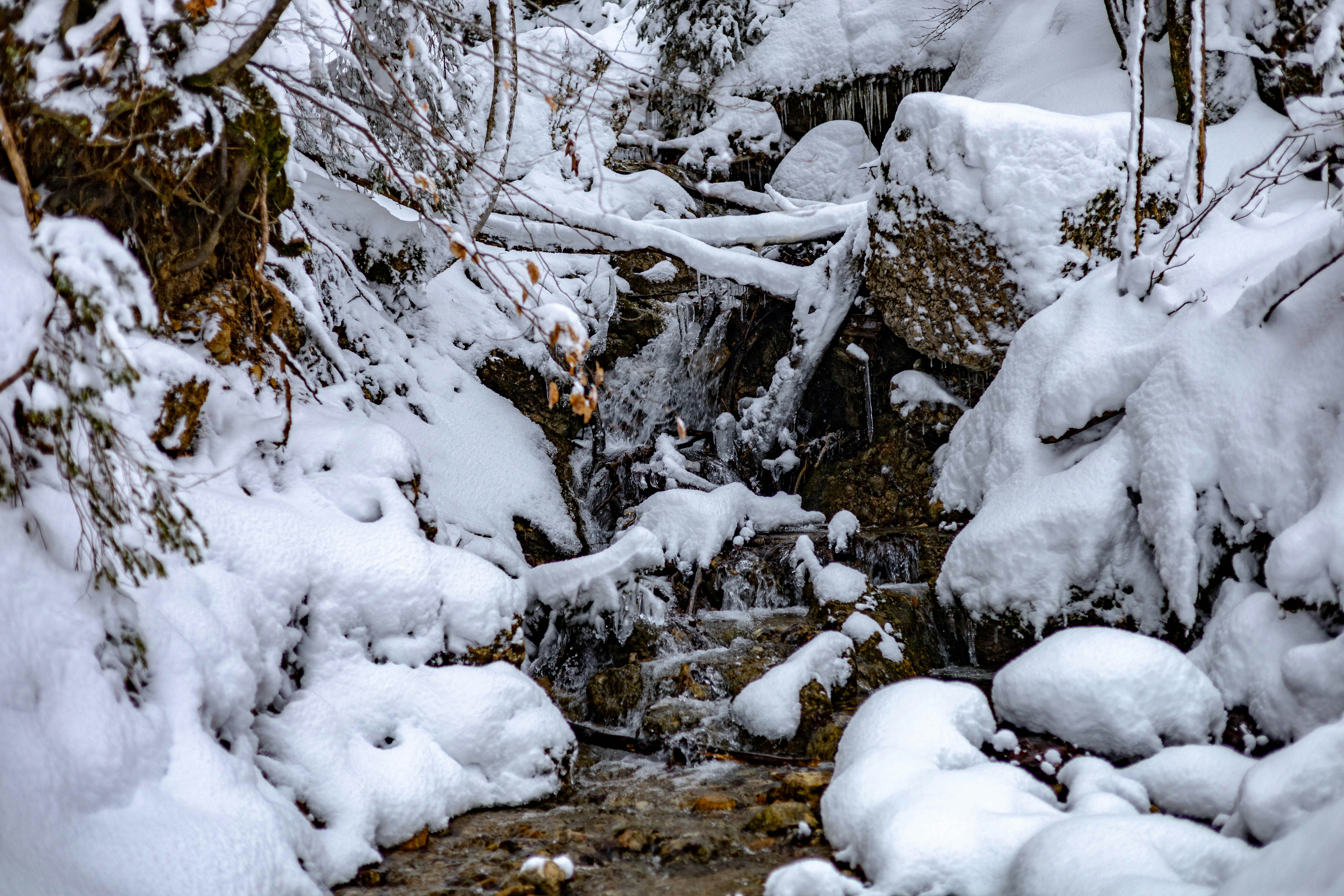 Photo by doeringphotograpy