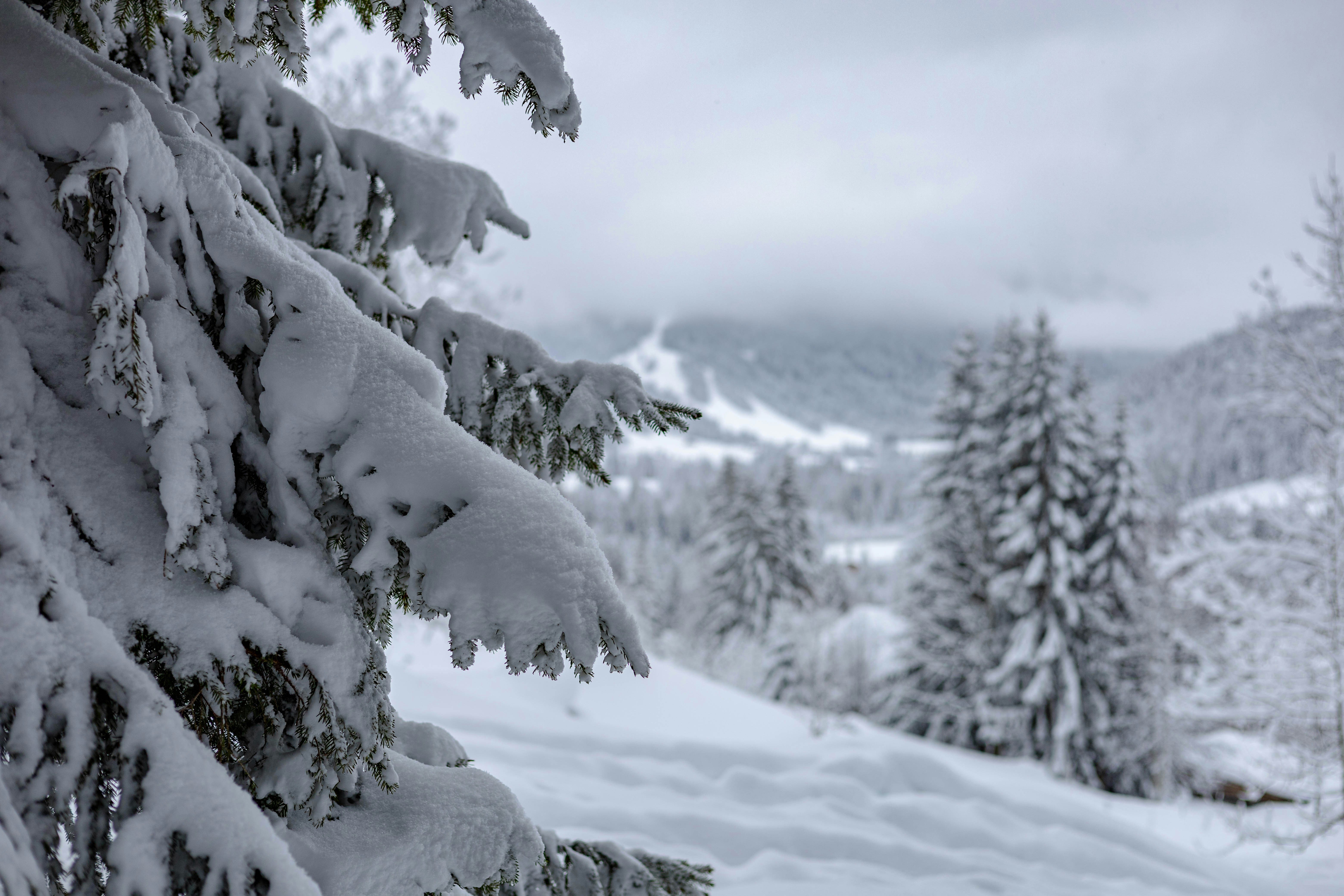 Photo by doeringphotograpy