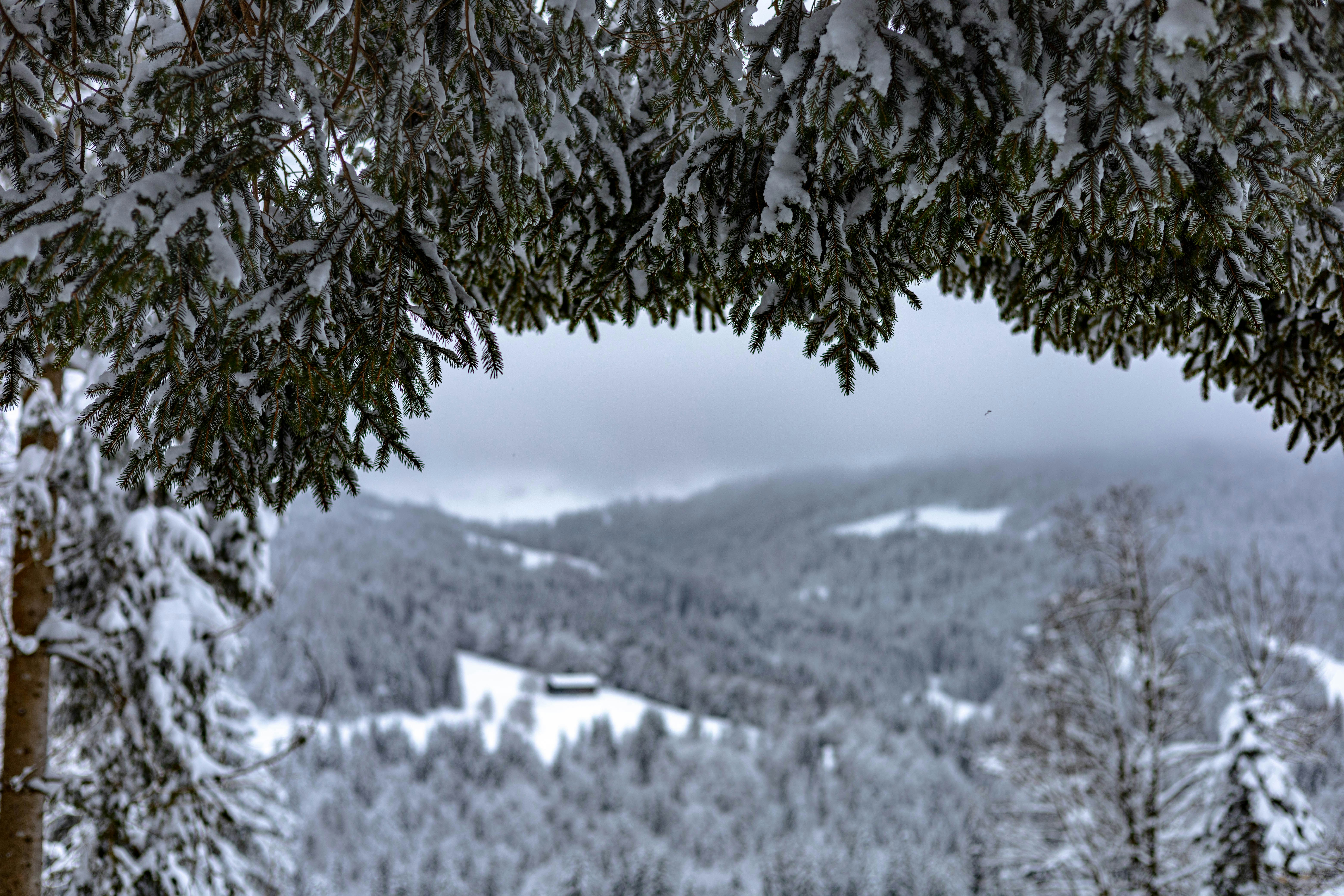 Photo by doeringphotograpy