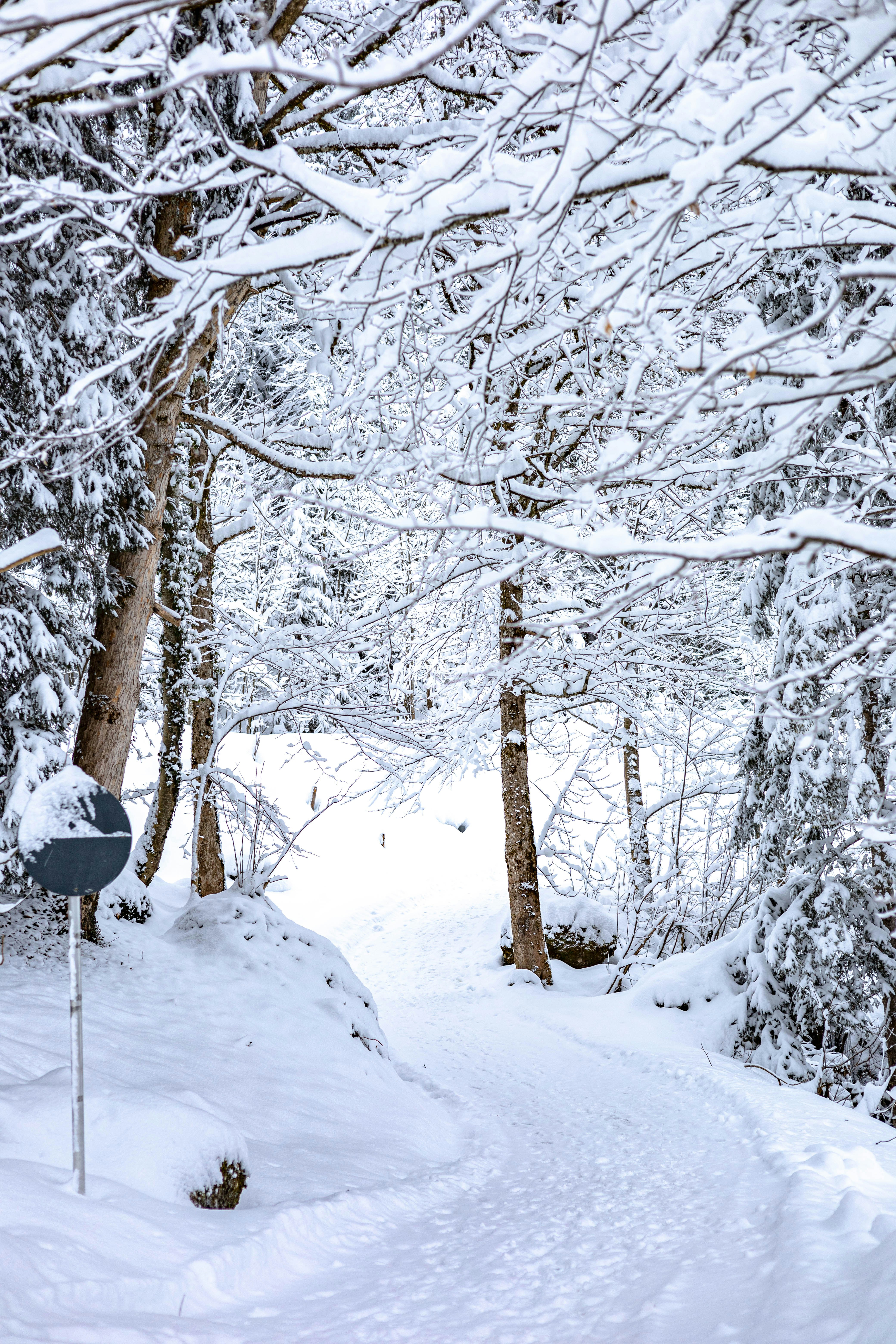 Photo by doeringphotograpy