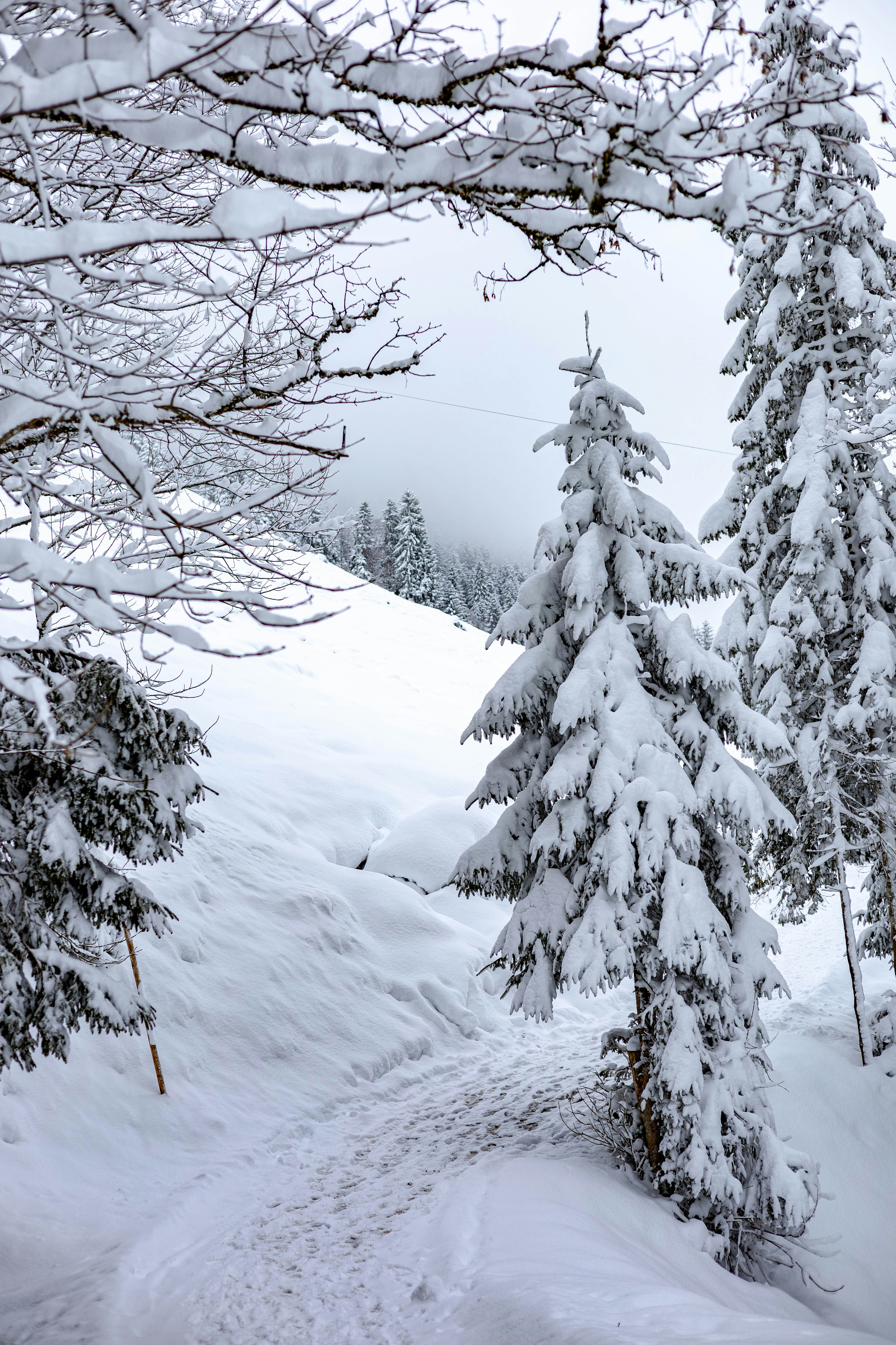 Photo by doeringphotograpy