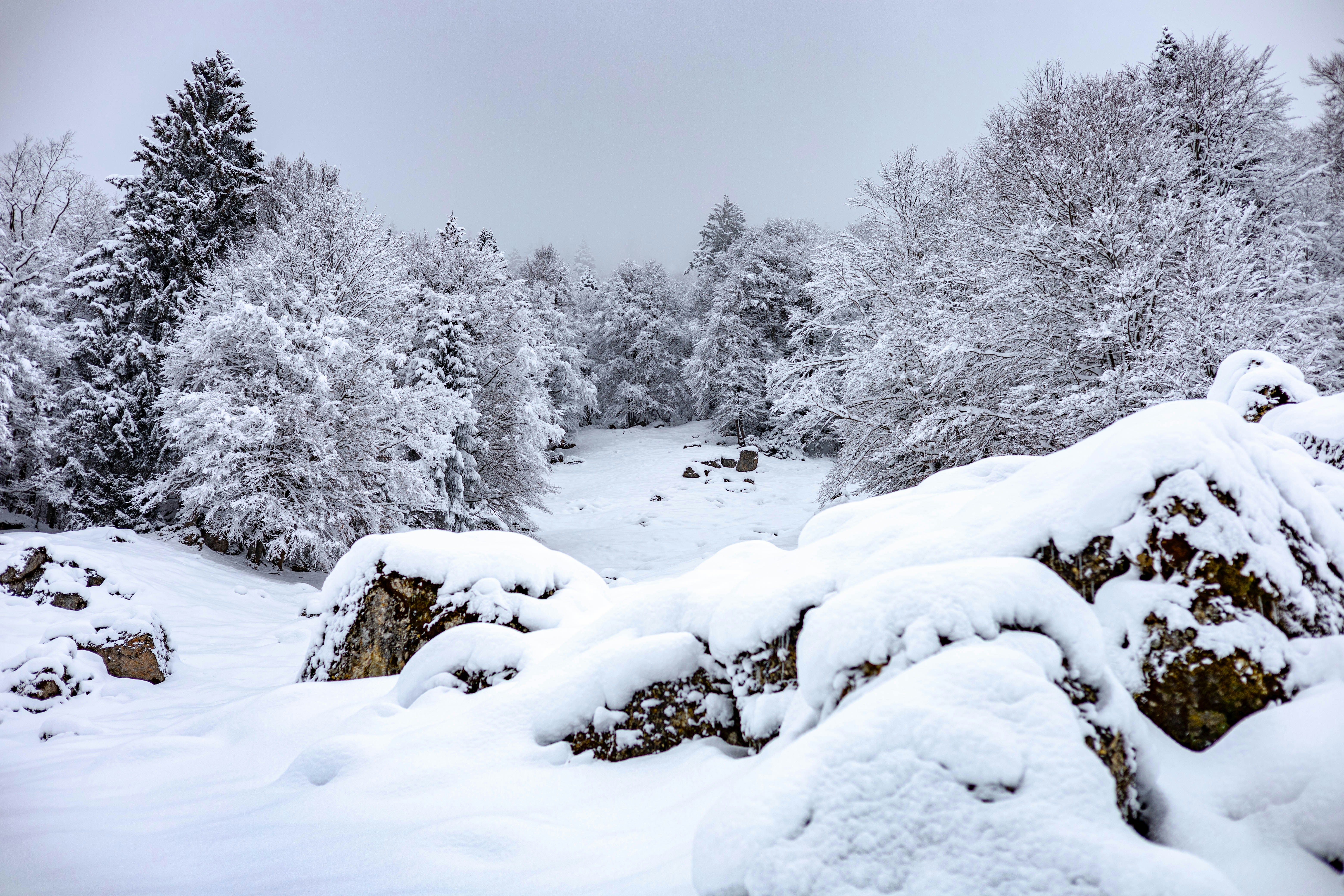 Photo by doeringphotograpy