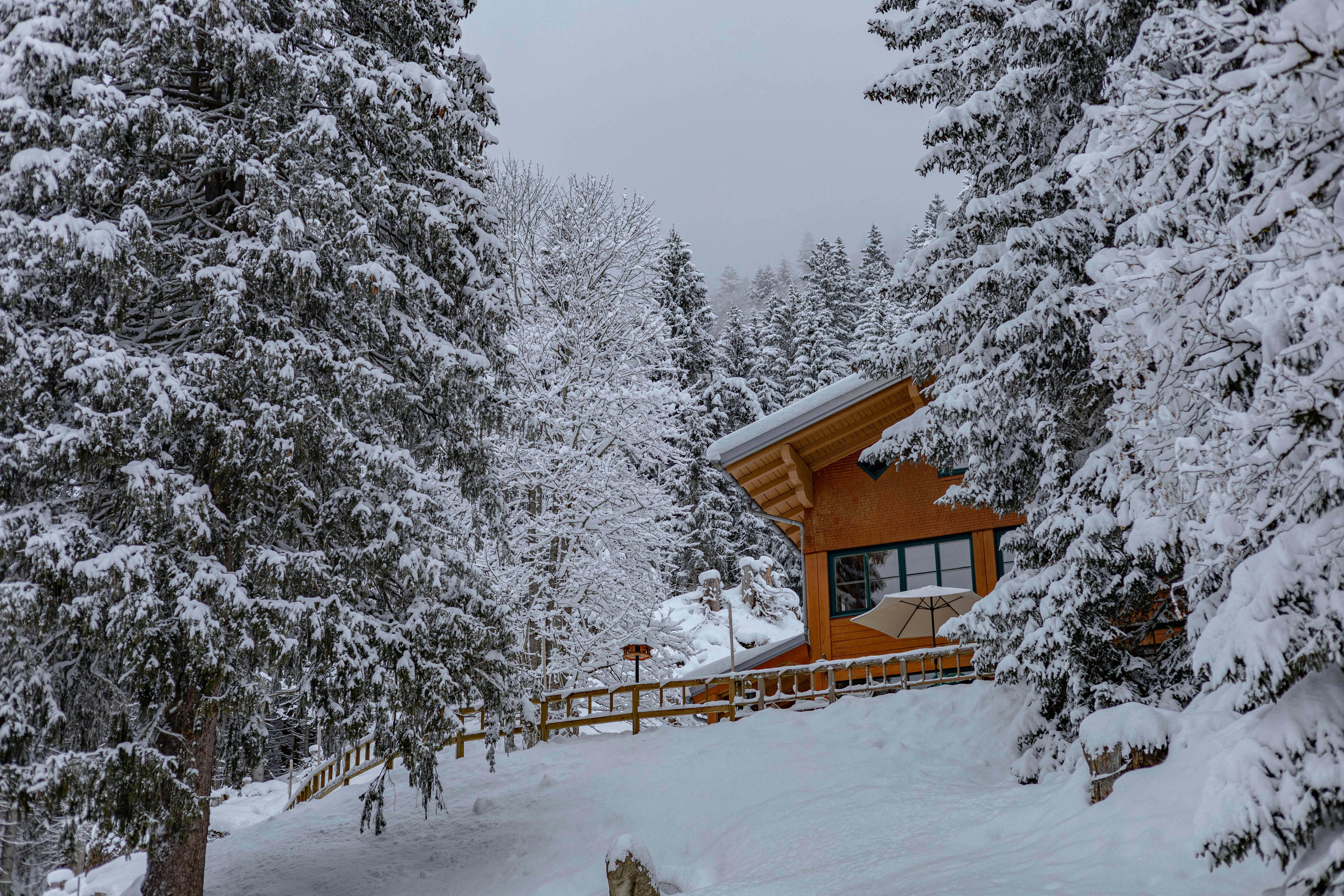 Photo by doeringphotograpy