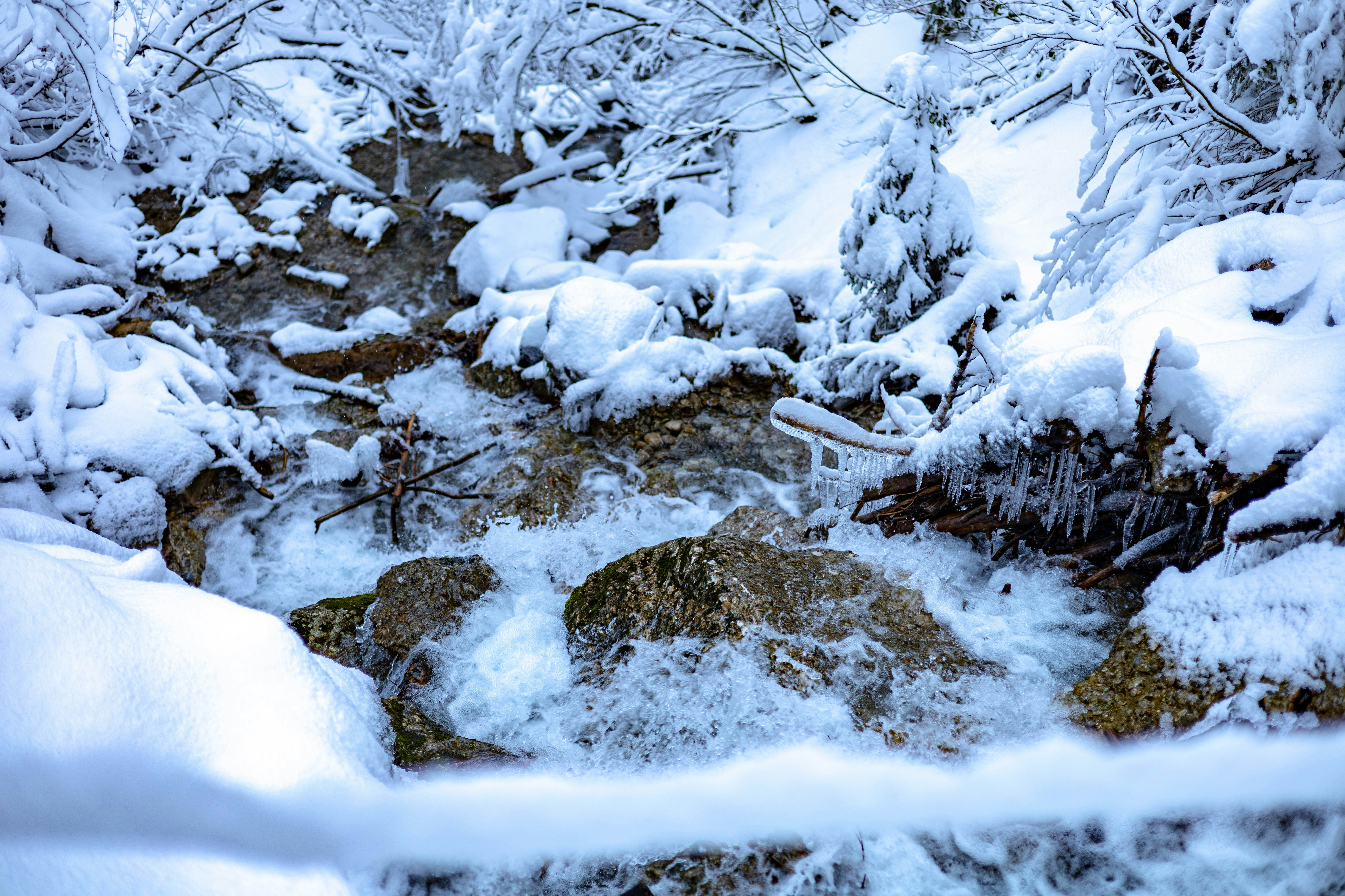 Photo by doeringphotograpy