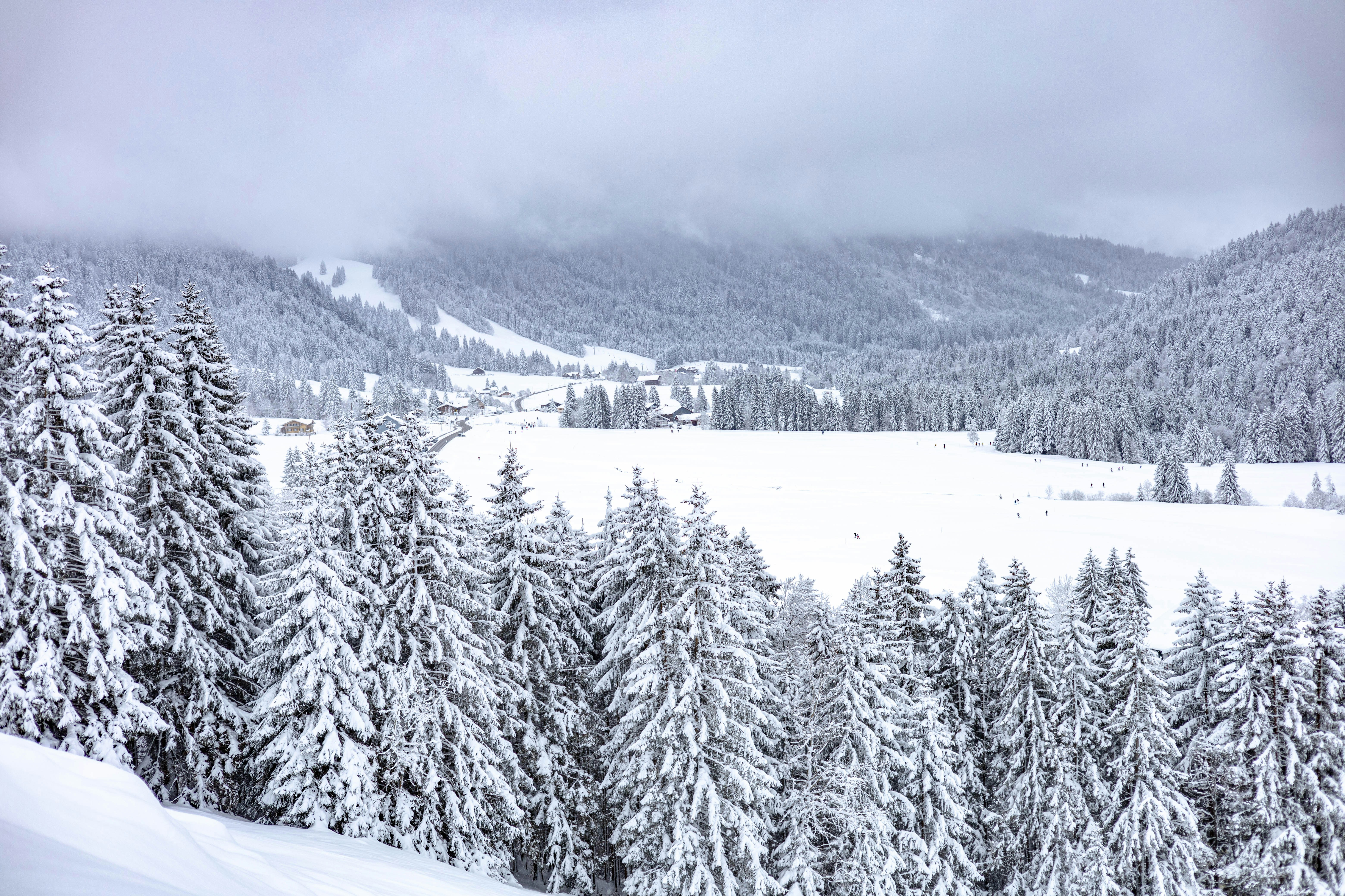 Photo by doeringphotograpy