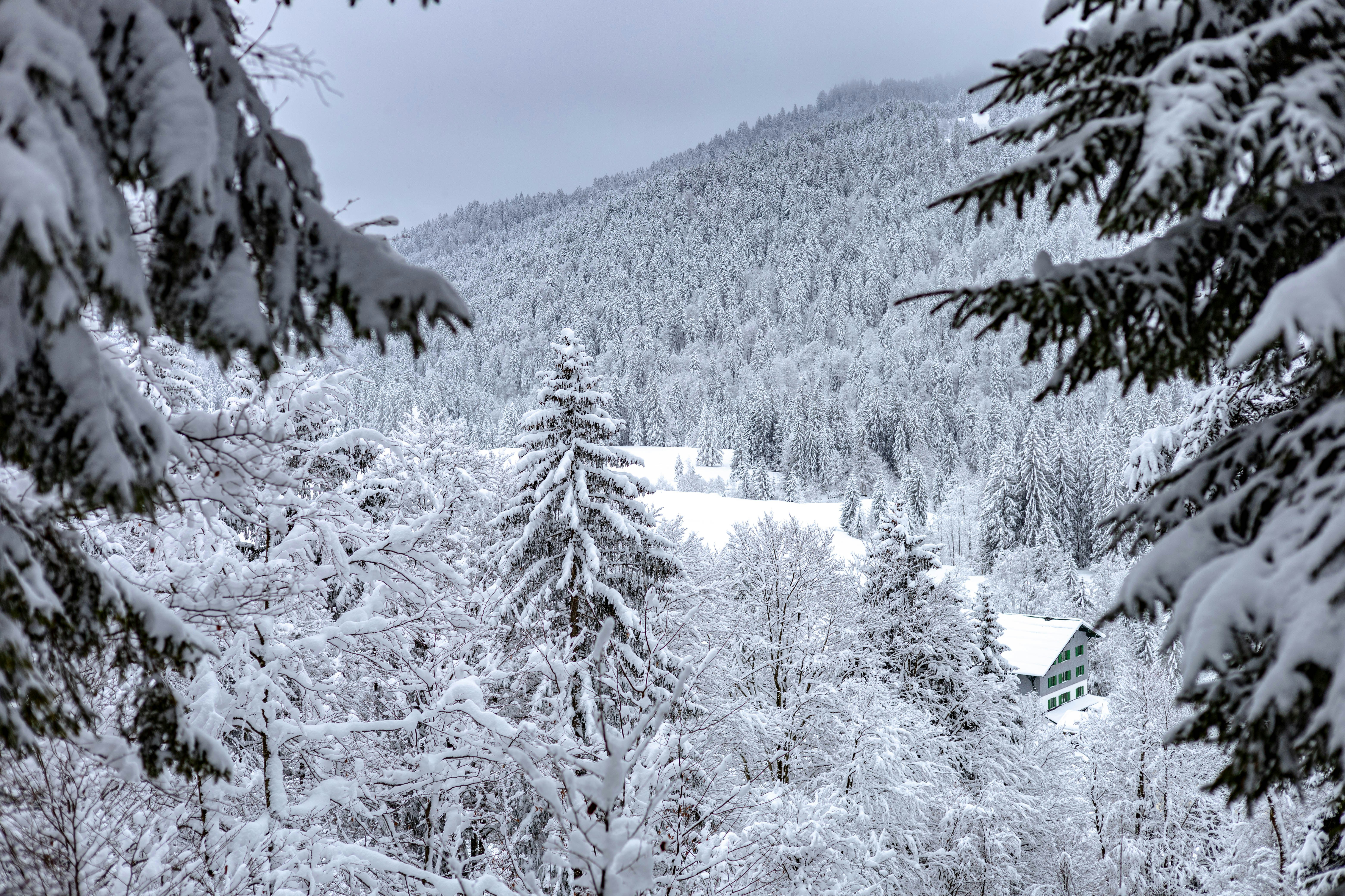 Photo by doeringphotograpy