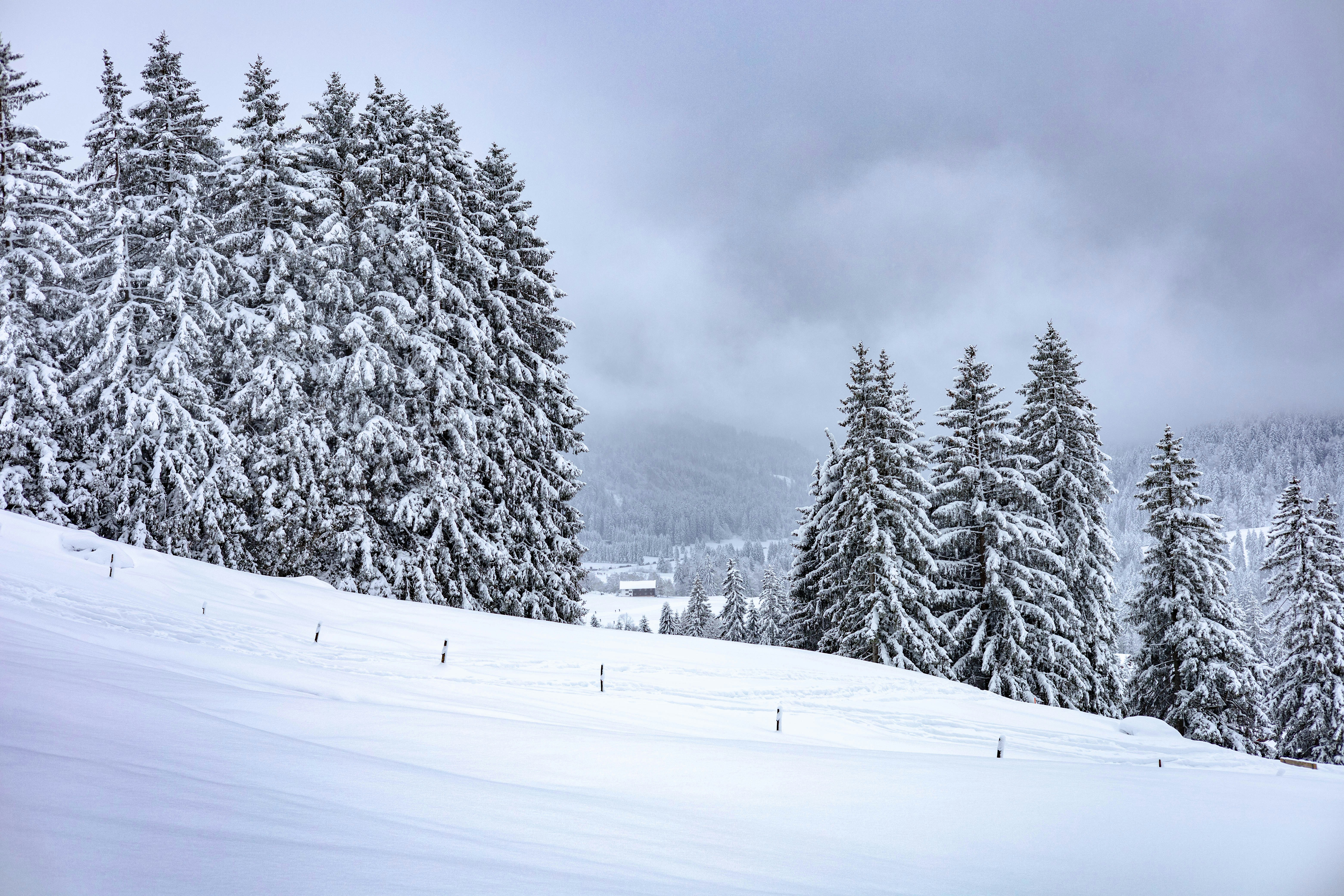 Photo by doeringphotograpy