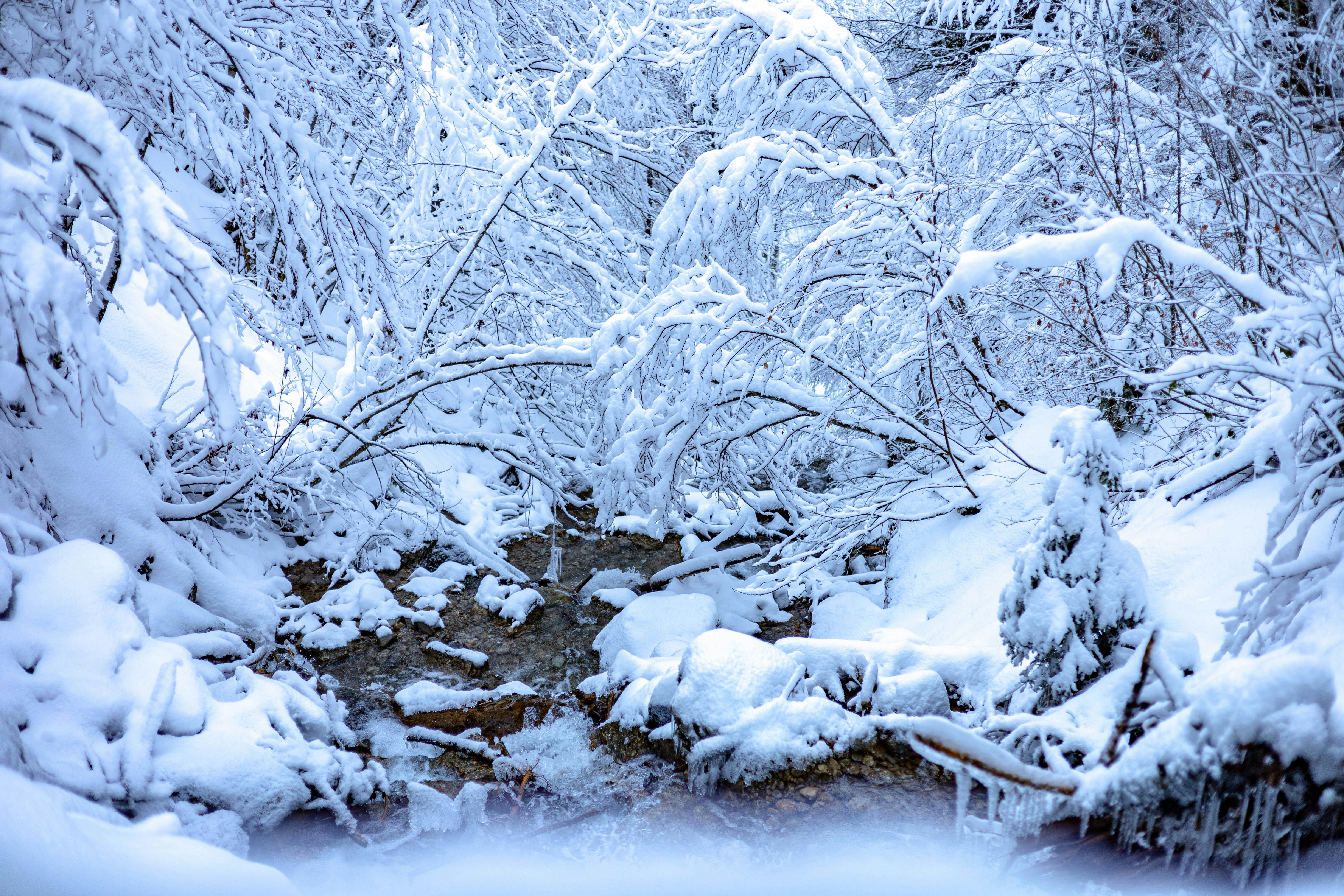 Photo by doeringphotograpy