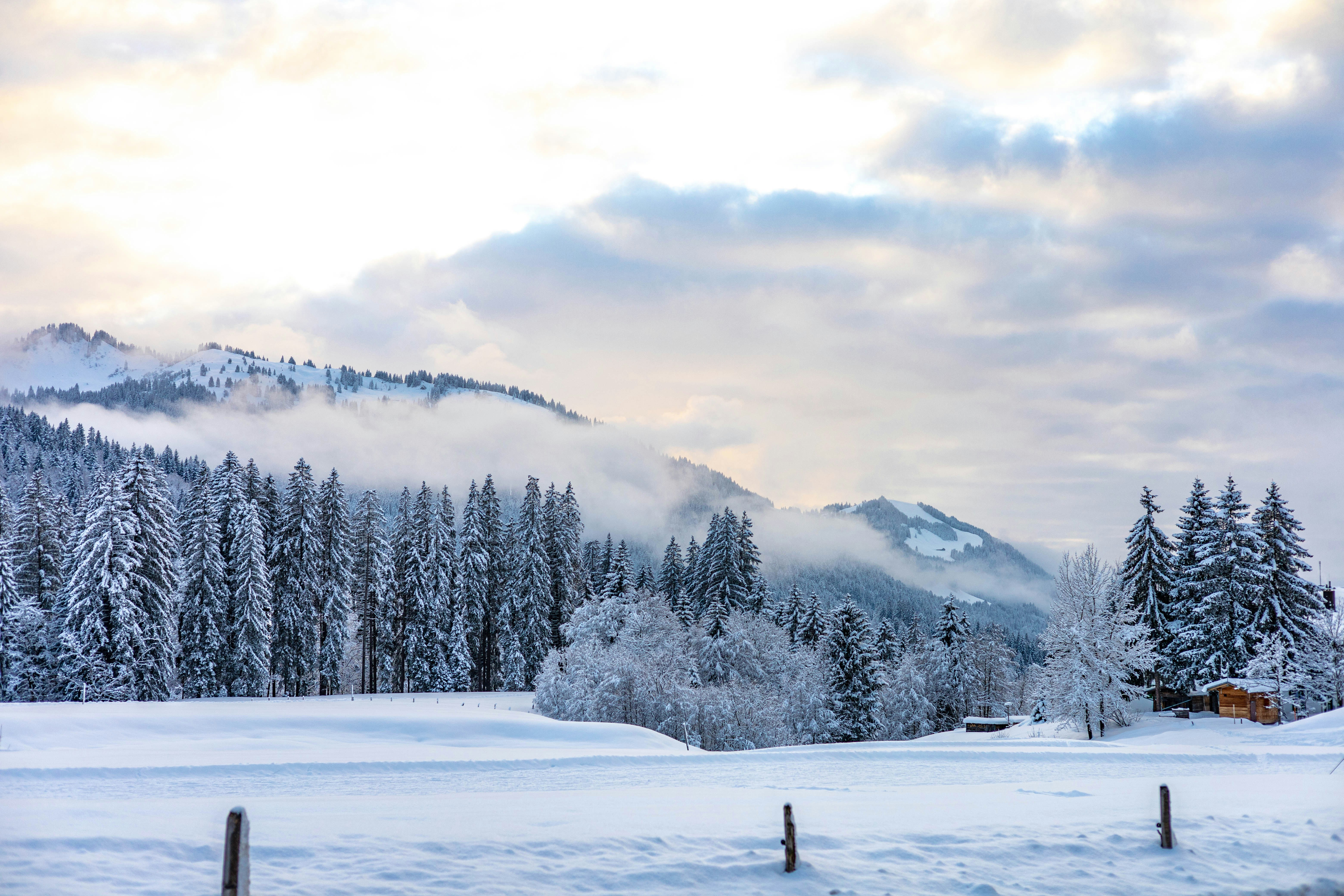 Photo by doeringphotograpy