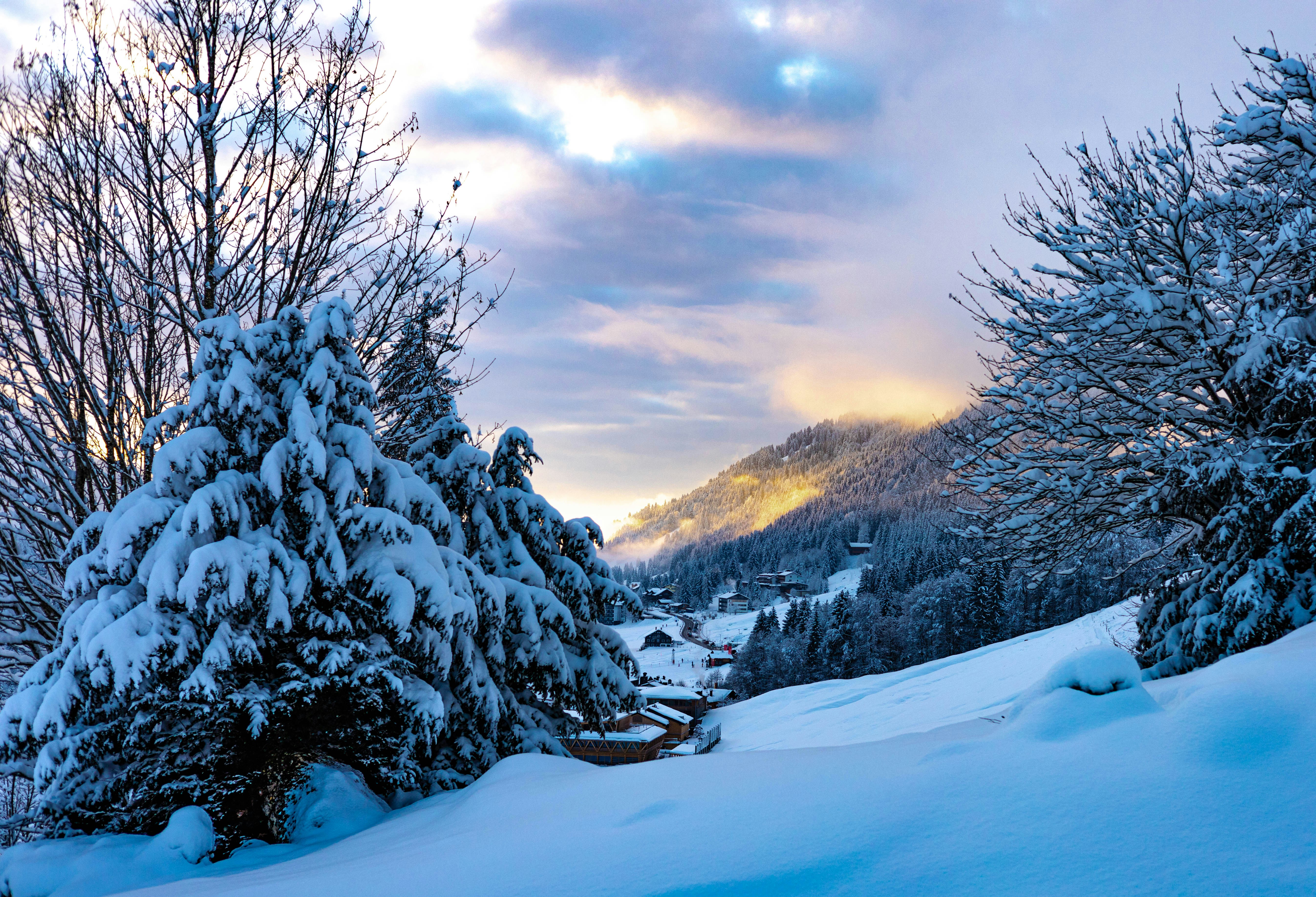 Photo by doeringphotograpy