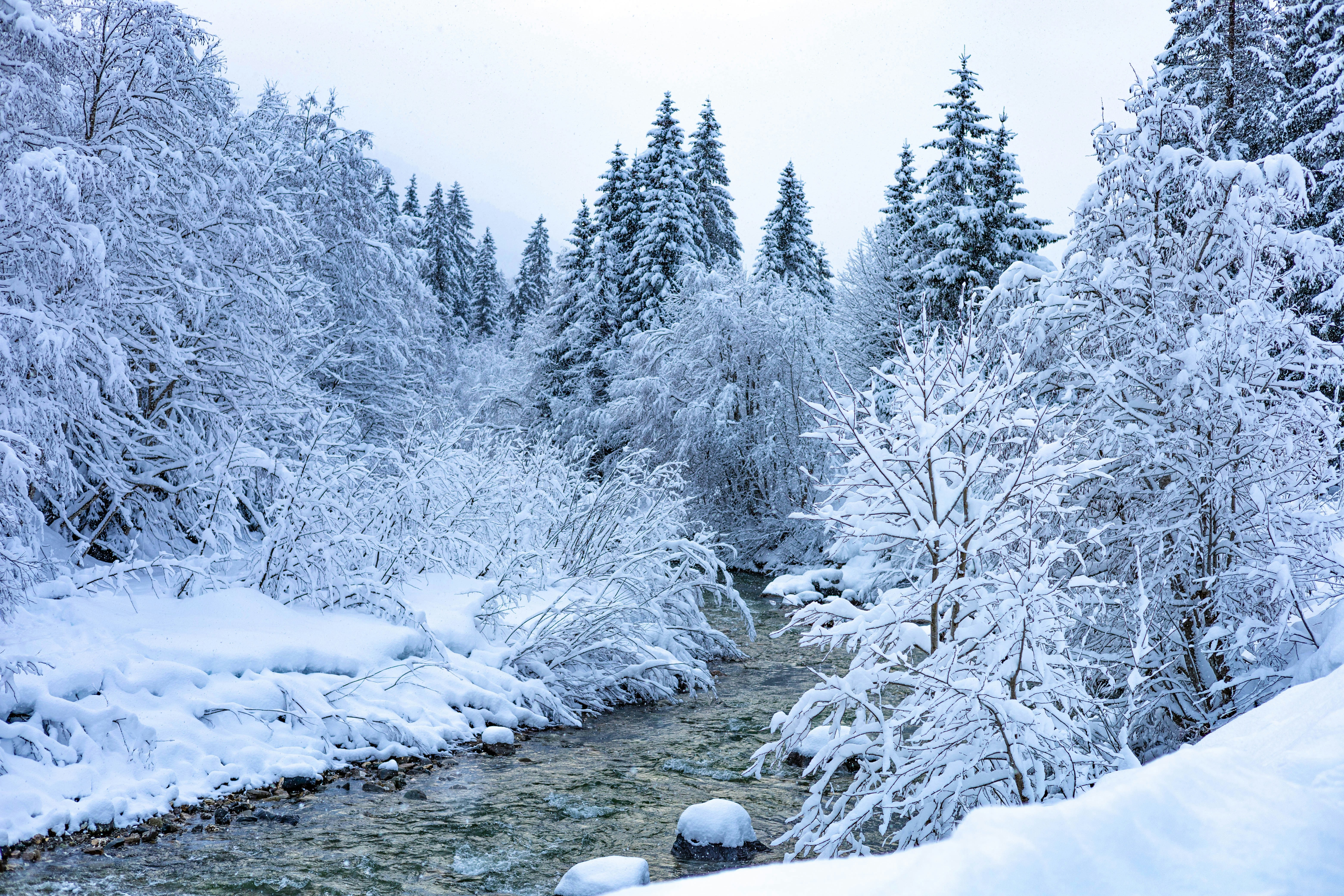 Photo by doeringphotograpy