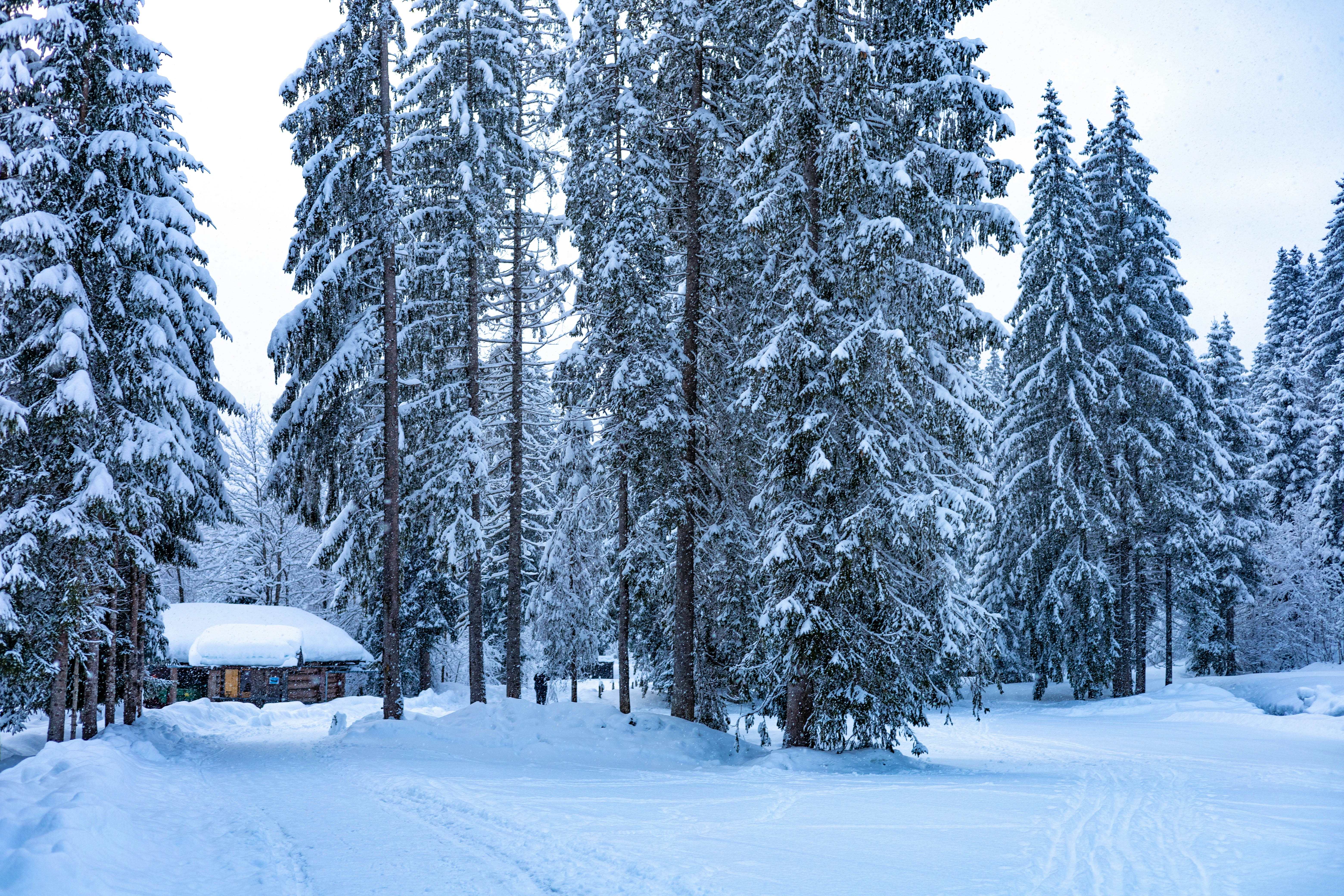 Photo by doeringphotograpy