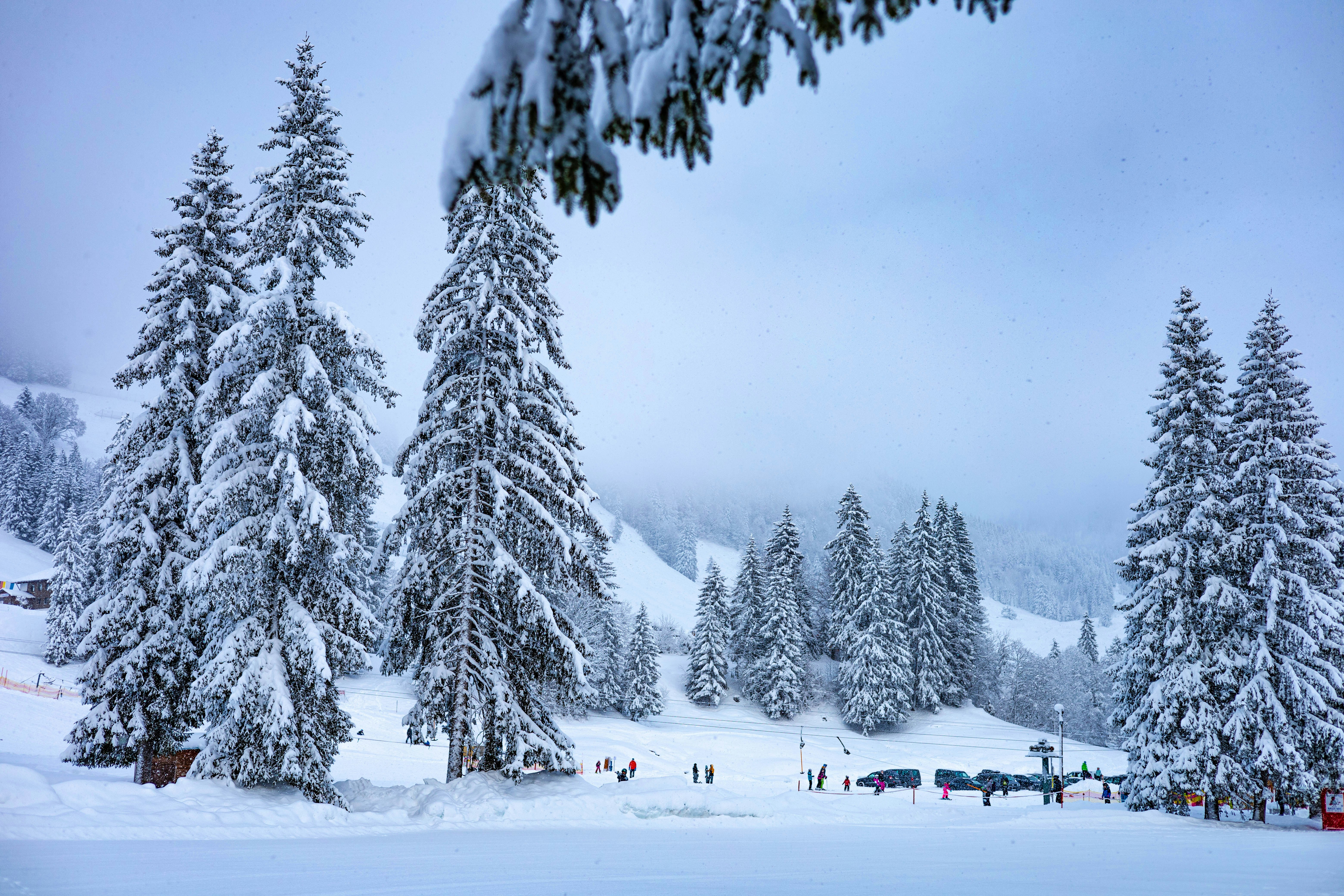 Photo by doeringphotograpy