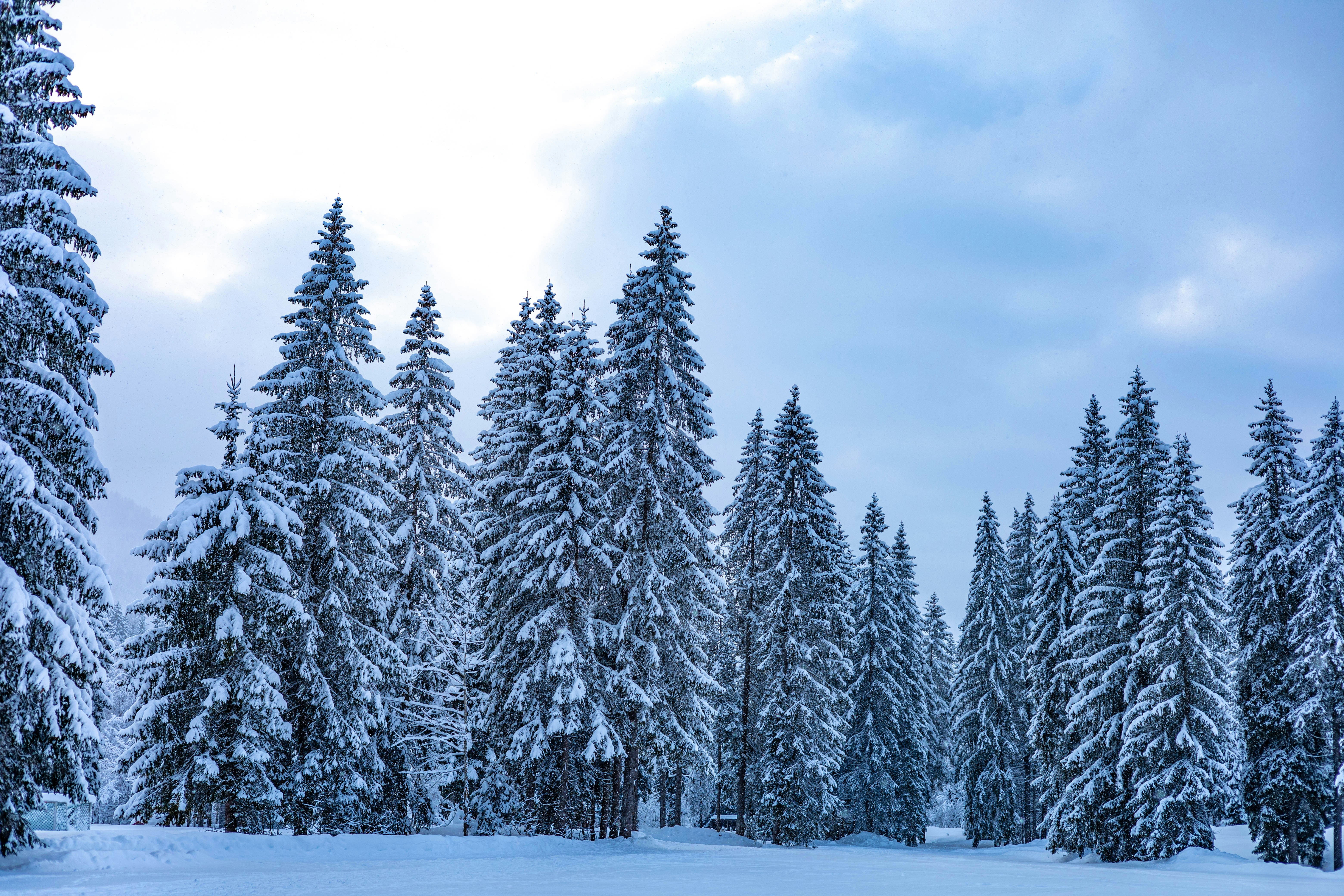 Photo by doeringphotograpy