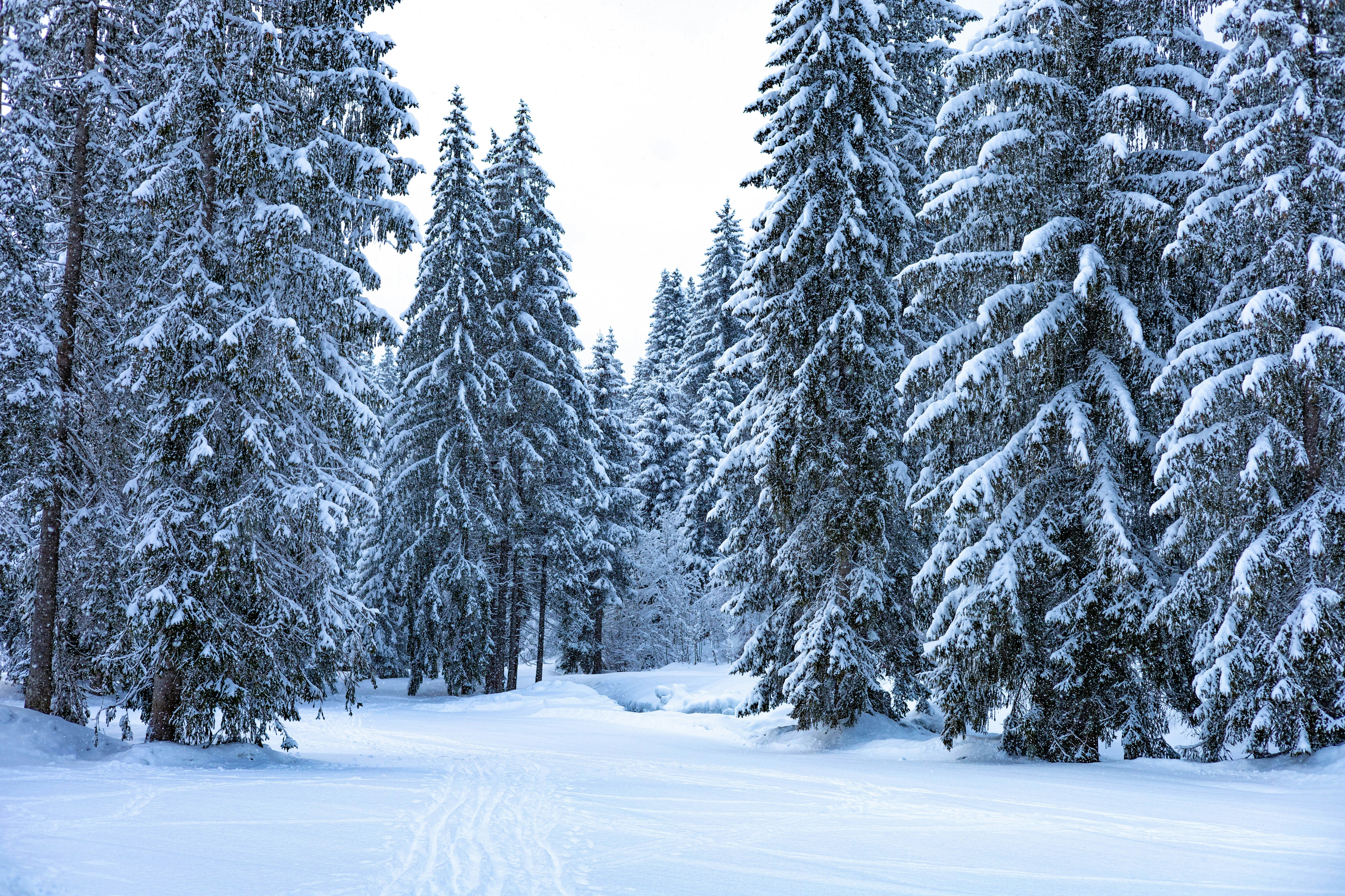 Photo by doeringphotograpy