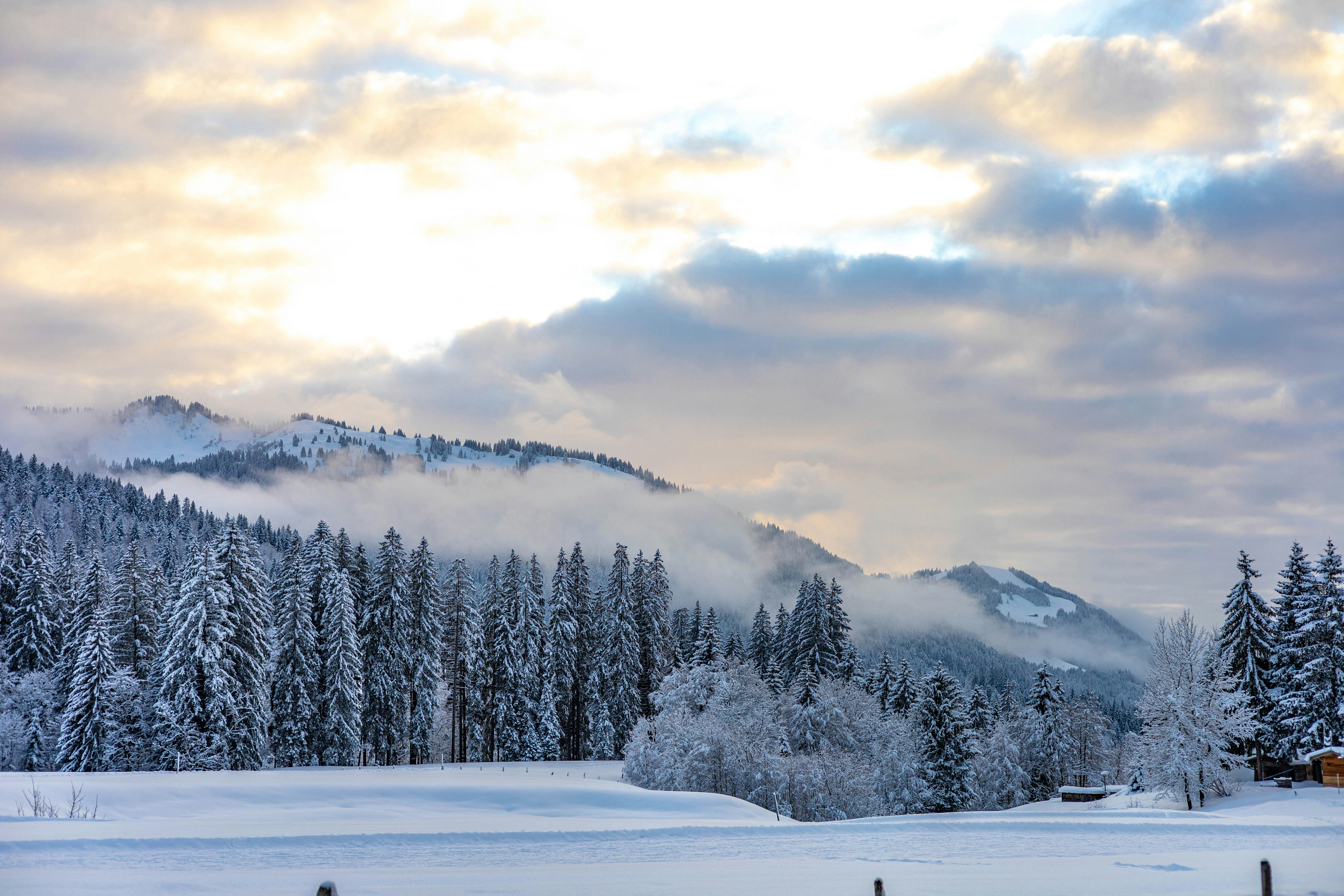 Photo by doeringphotograpy