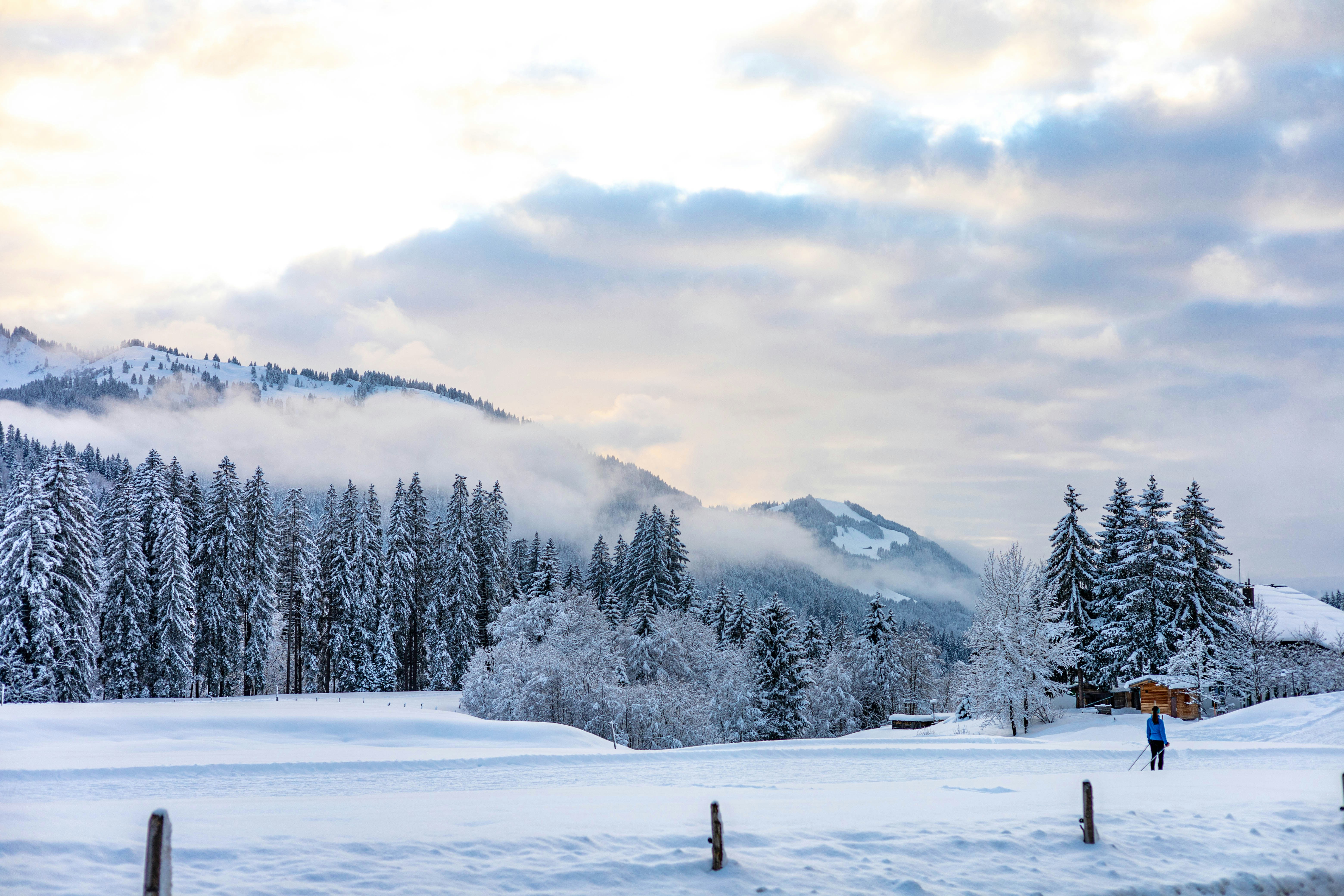 Photo by doeringphotograpy