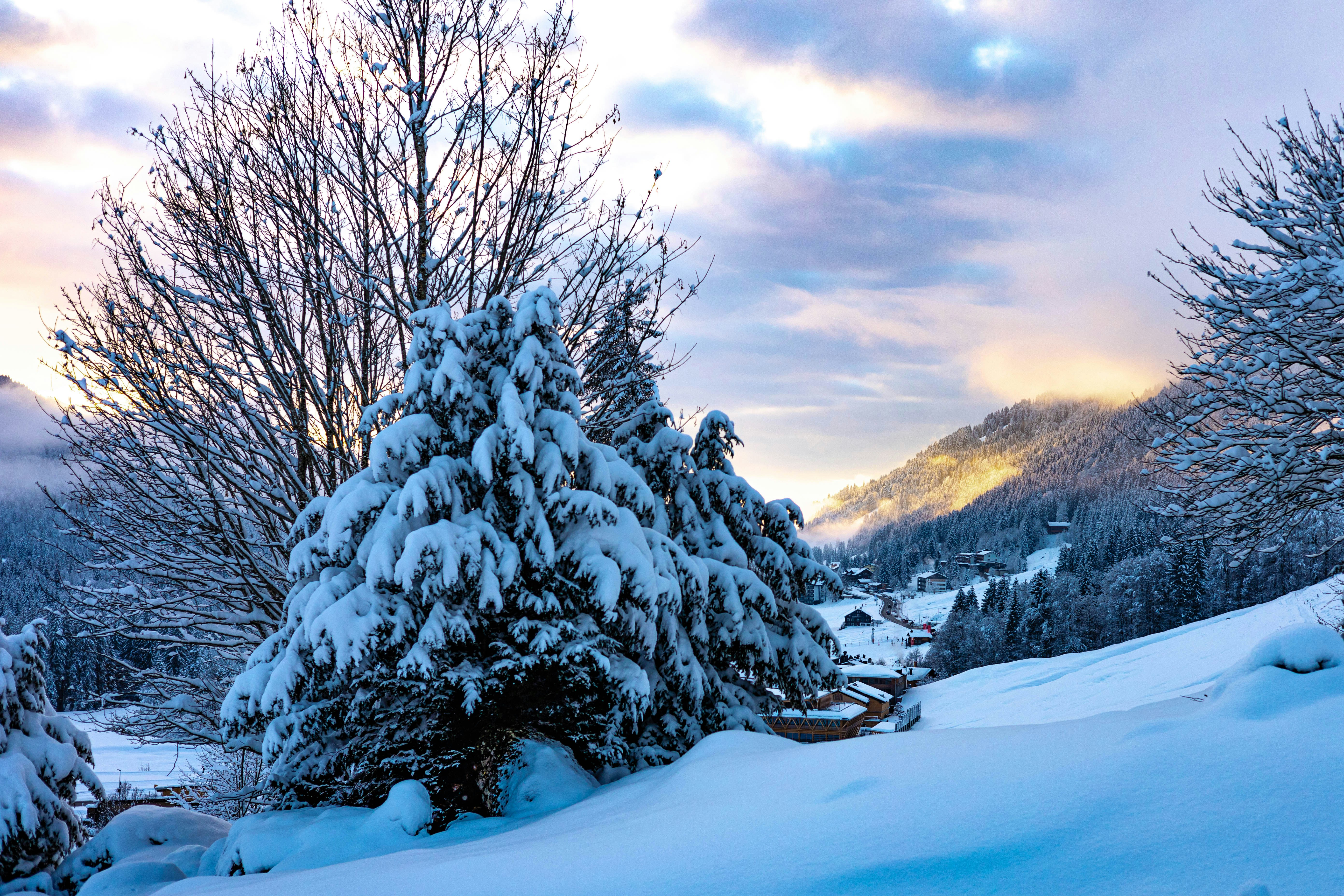 Photo by doeringphotograpy