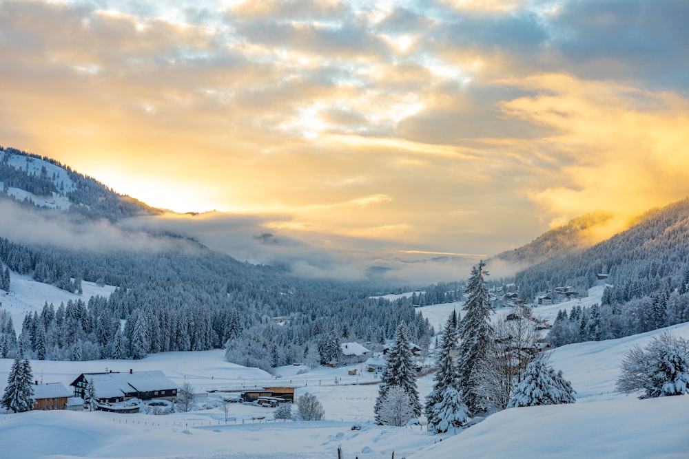 a snowy landscape with a mountain in the background