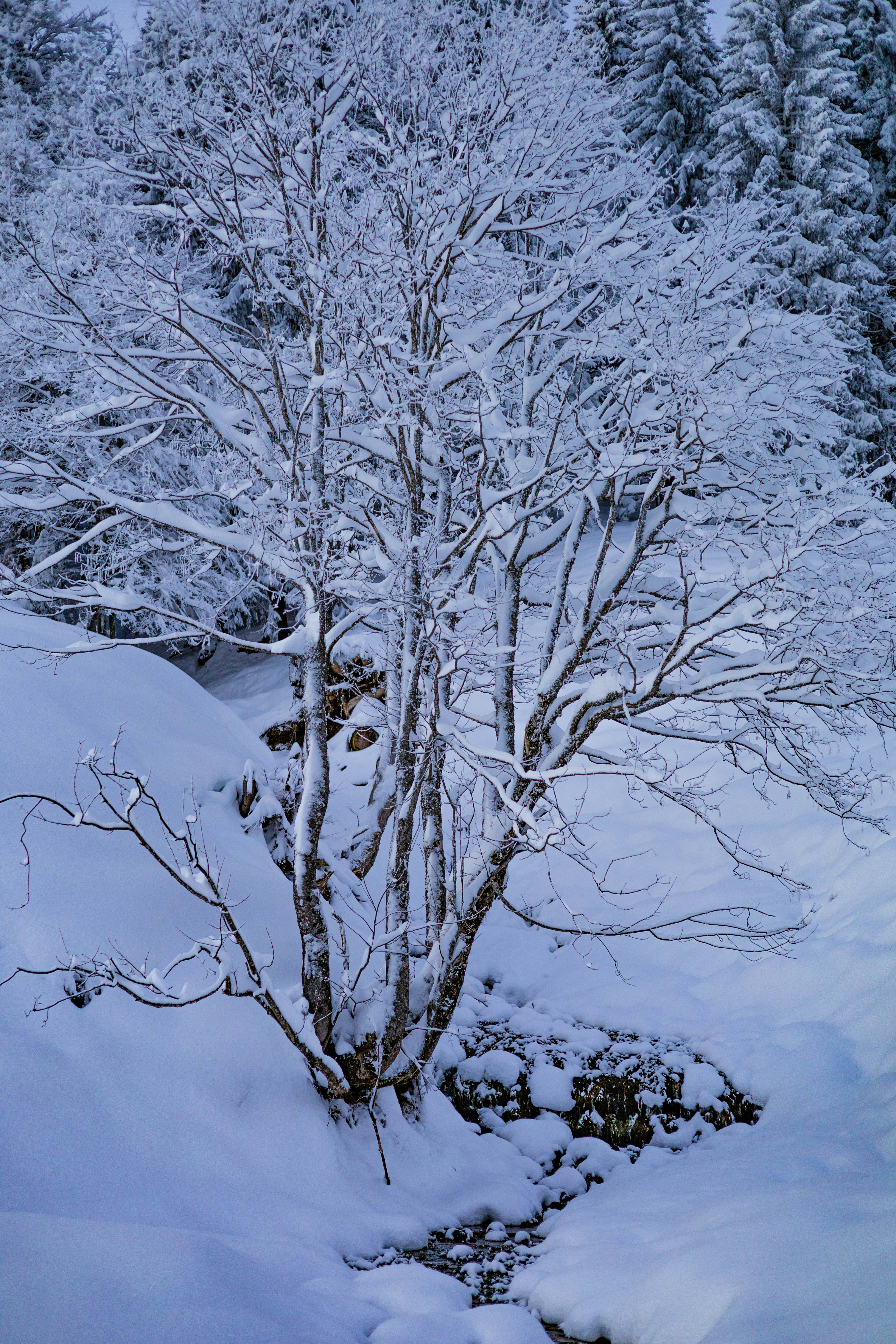 Photo by doeringphotograpy