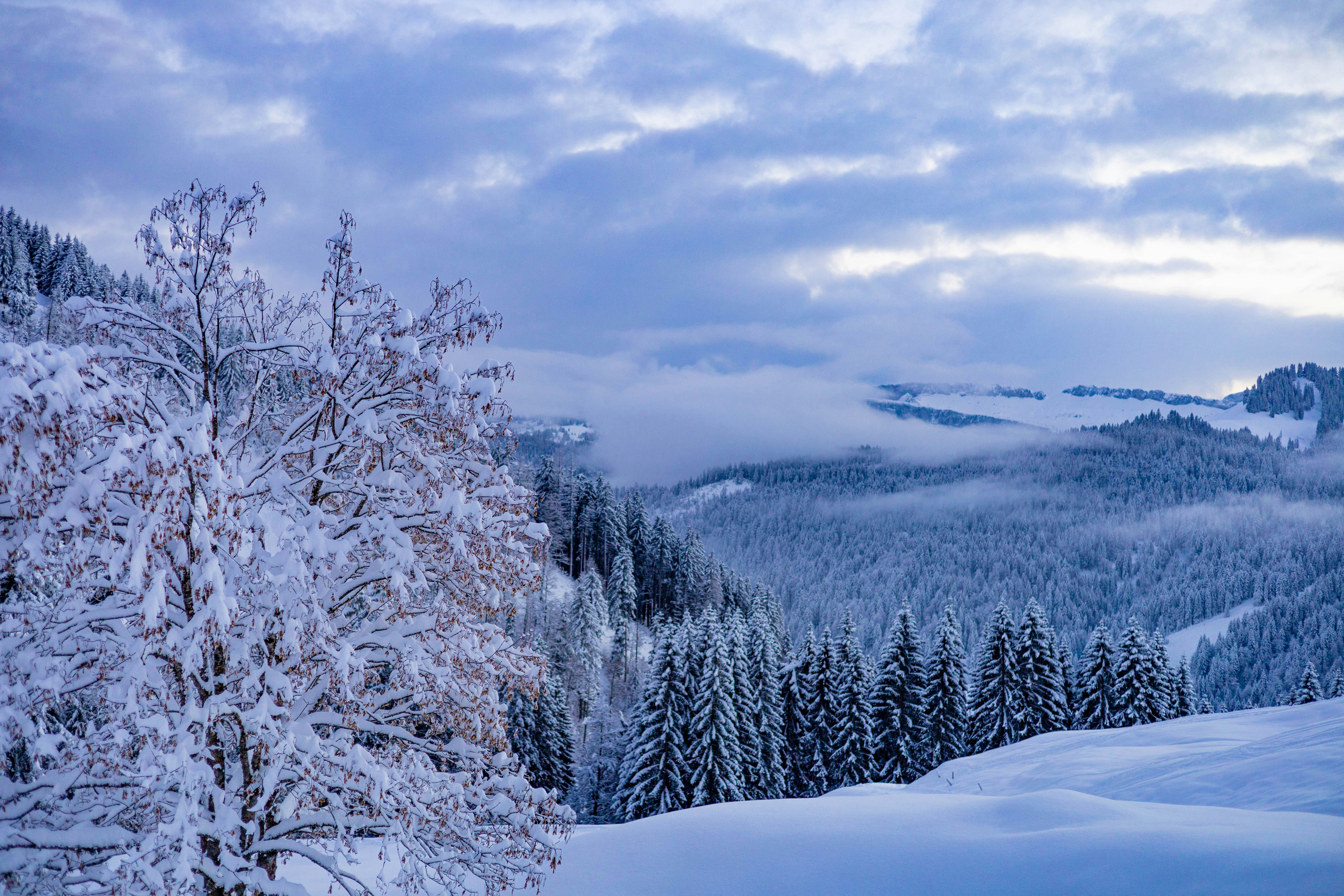 Photo by doeringphotograpy