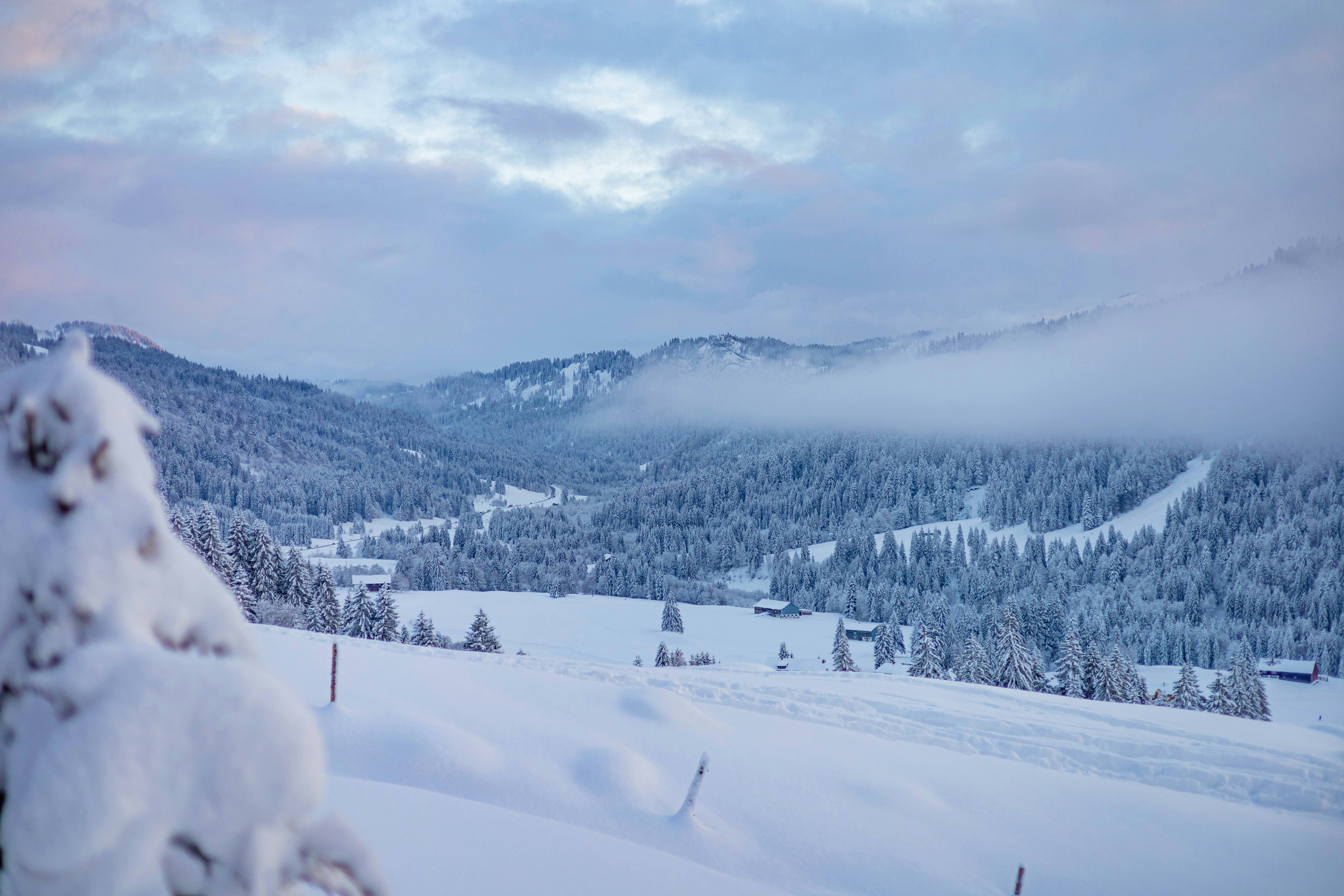 Photo by doeringphotograpy