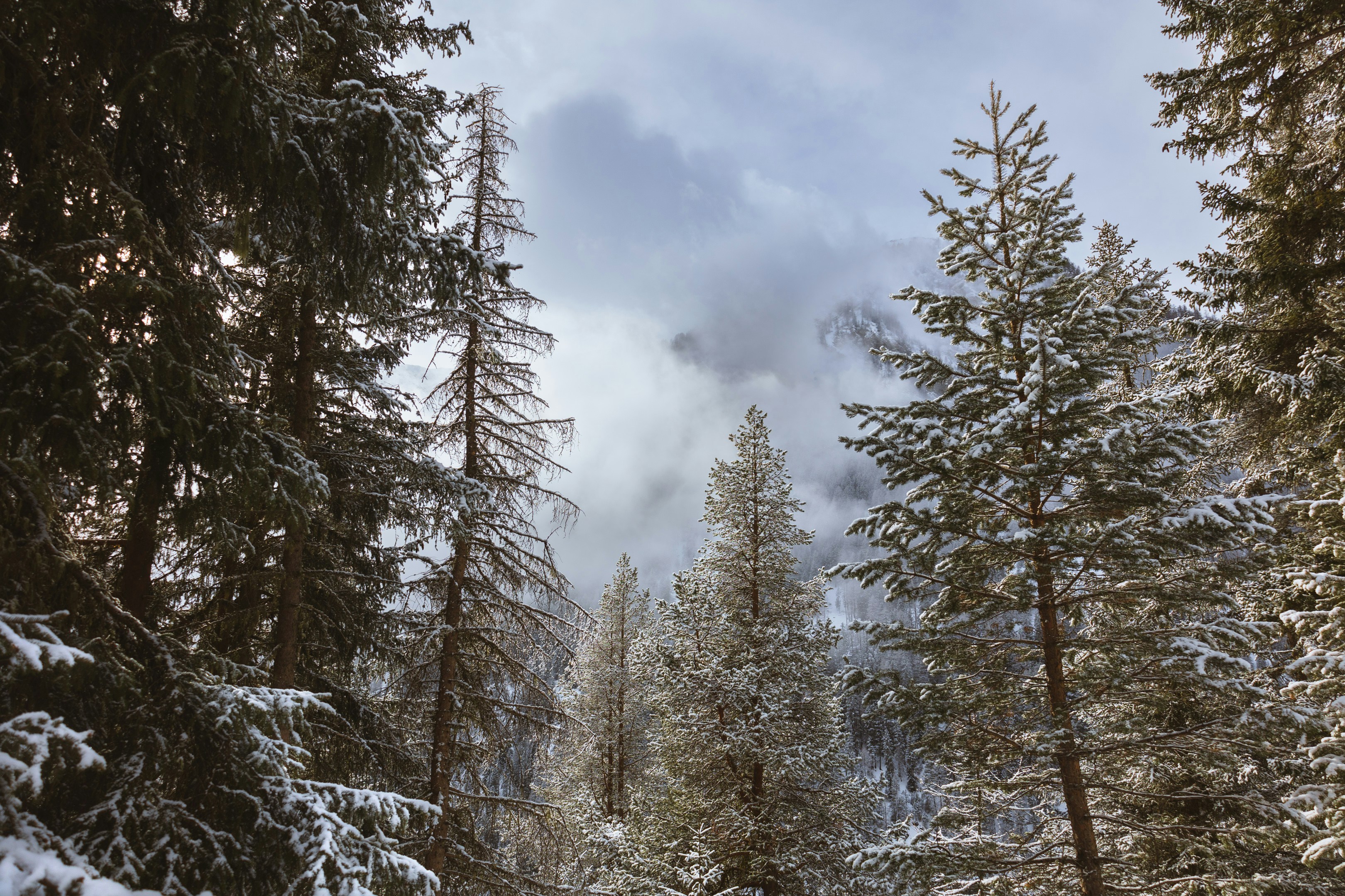 Photo by tomastrajan