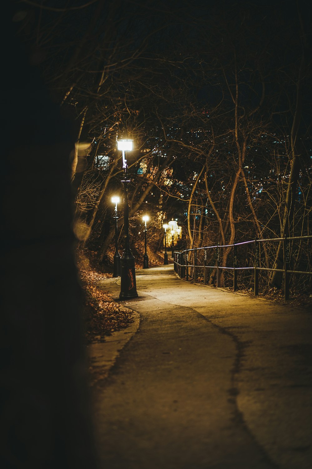 a street at night with street lights and trees