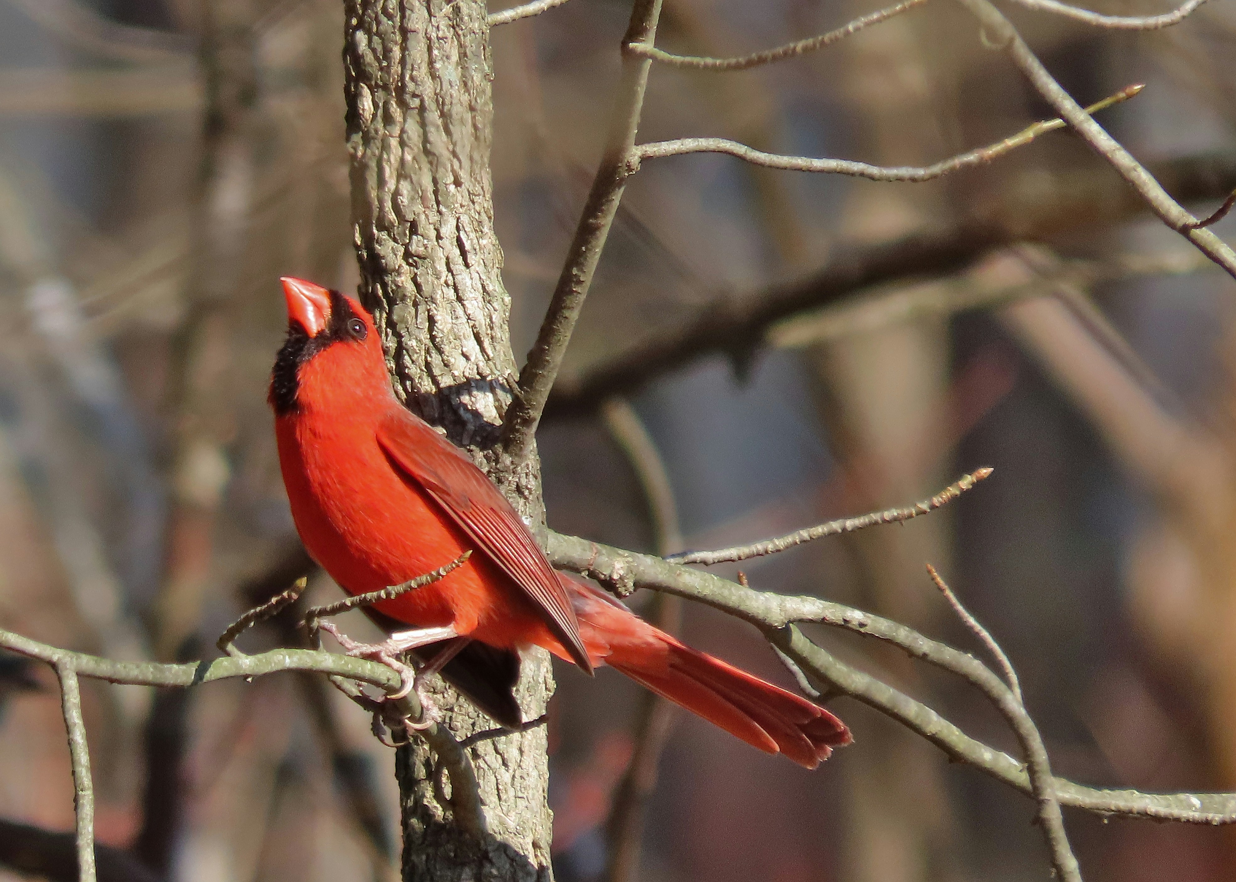 Photo by dlwhitehurst