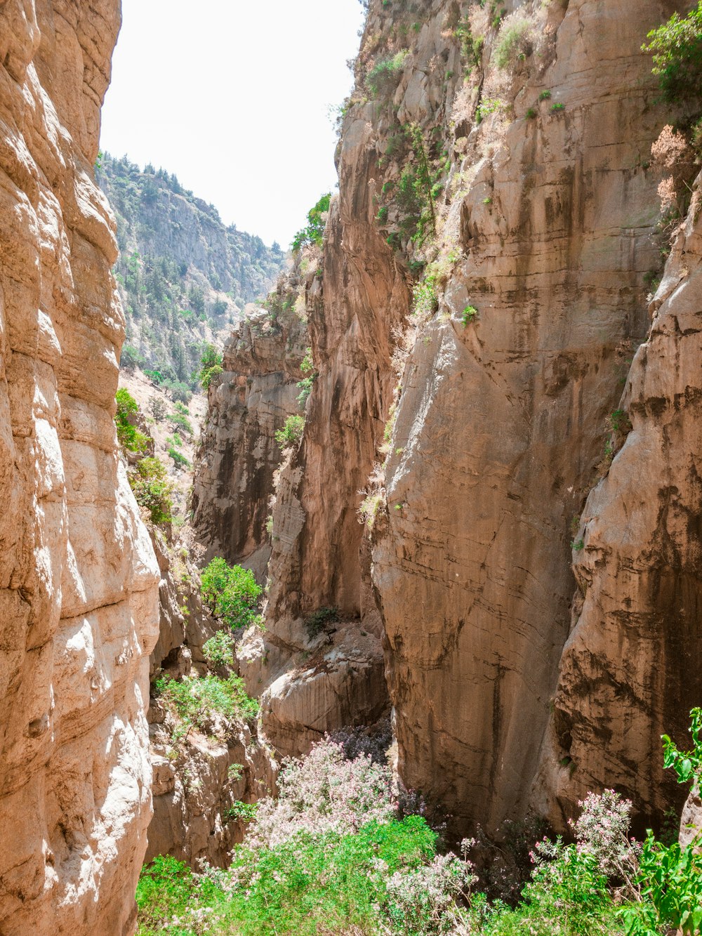 Un camino estrecho entre dos grandes rocas en un cañón