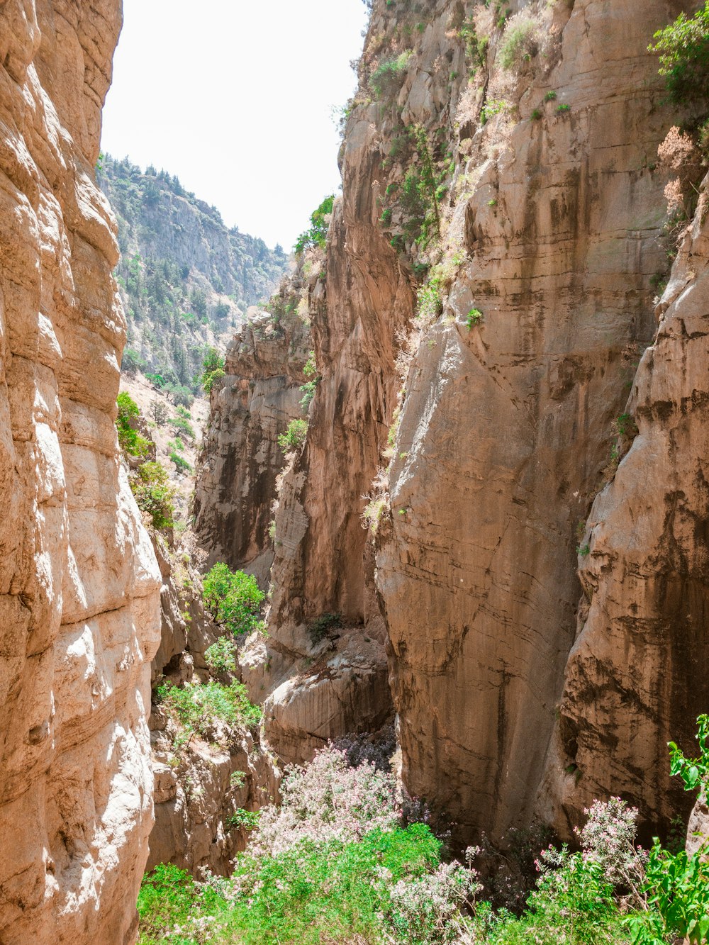 Uno stretto sentiero tra due grandi rocce in un canyon