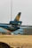 A UPS airplane is parked on an airfield, with its tail and engine visible. The aircraft has the UPS logo on its tail and is situated near an industrial building with containers in the background. The ground is covered with dry grass, indicating a possibly dry climate or season.