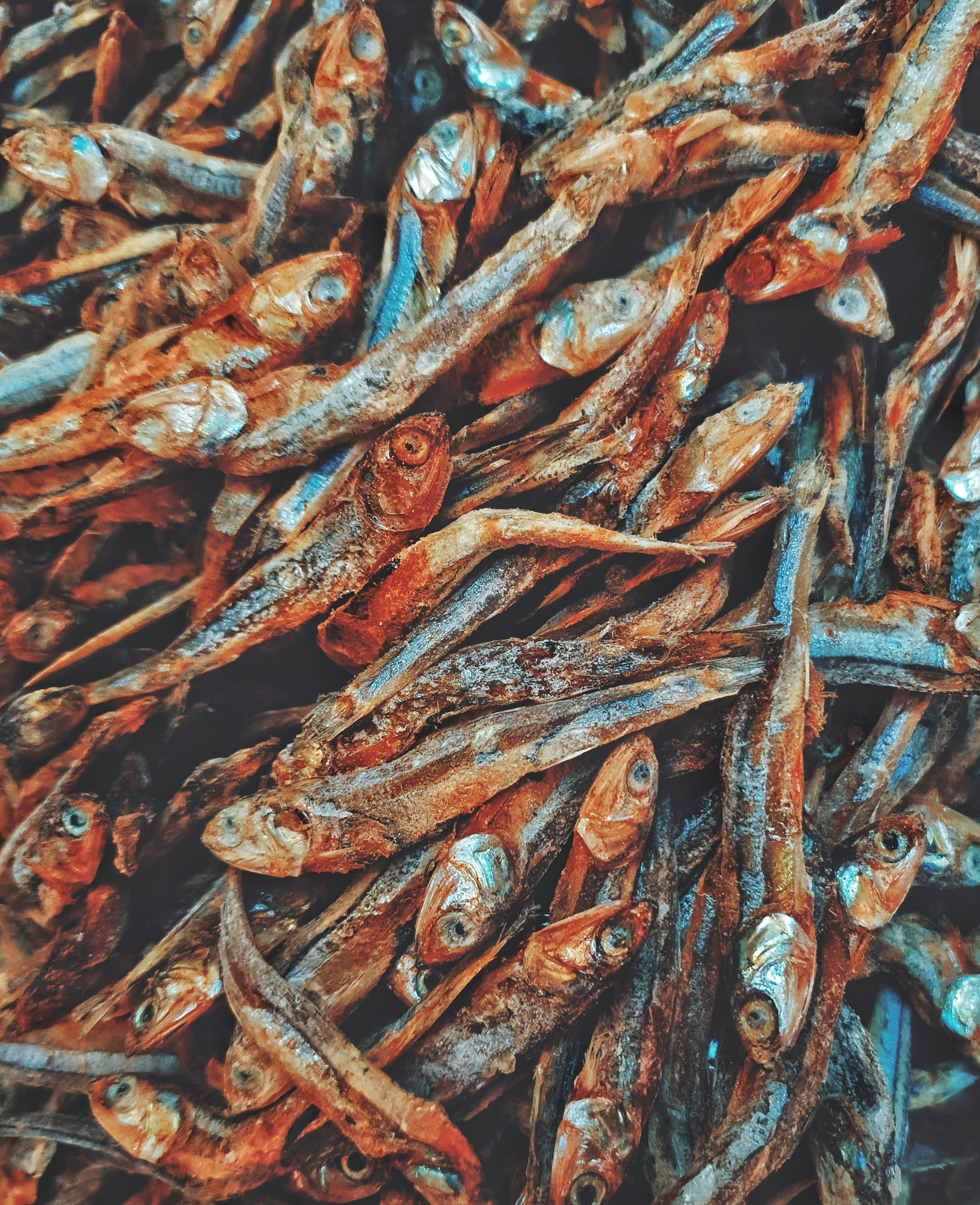 Photo by hasanalmasi