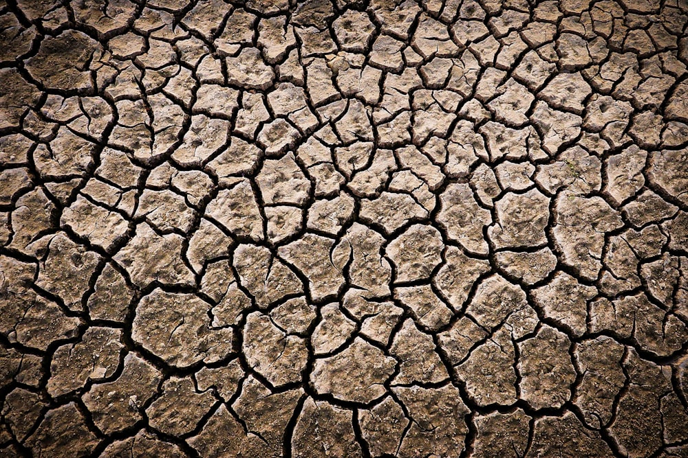 a close up of a cracked dirt surface
