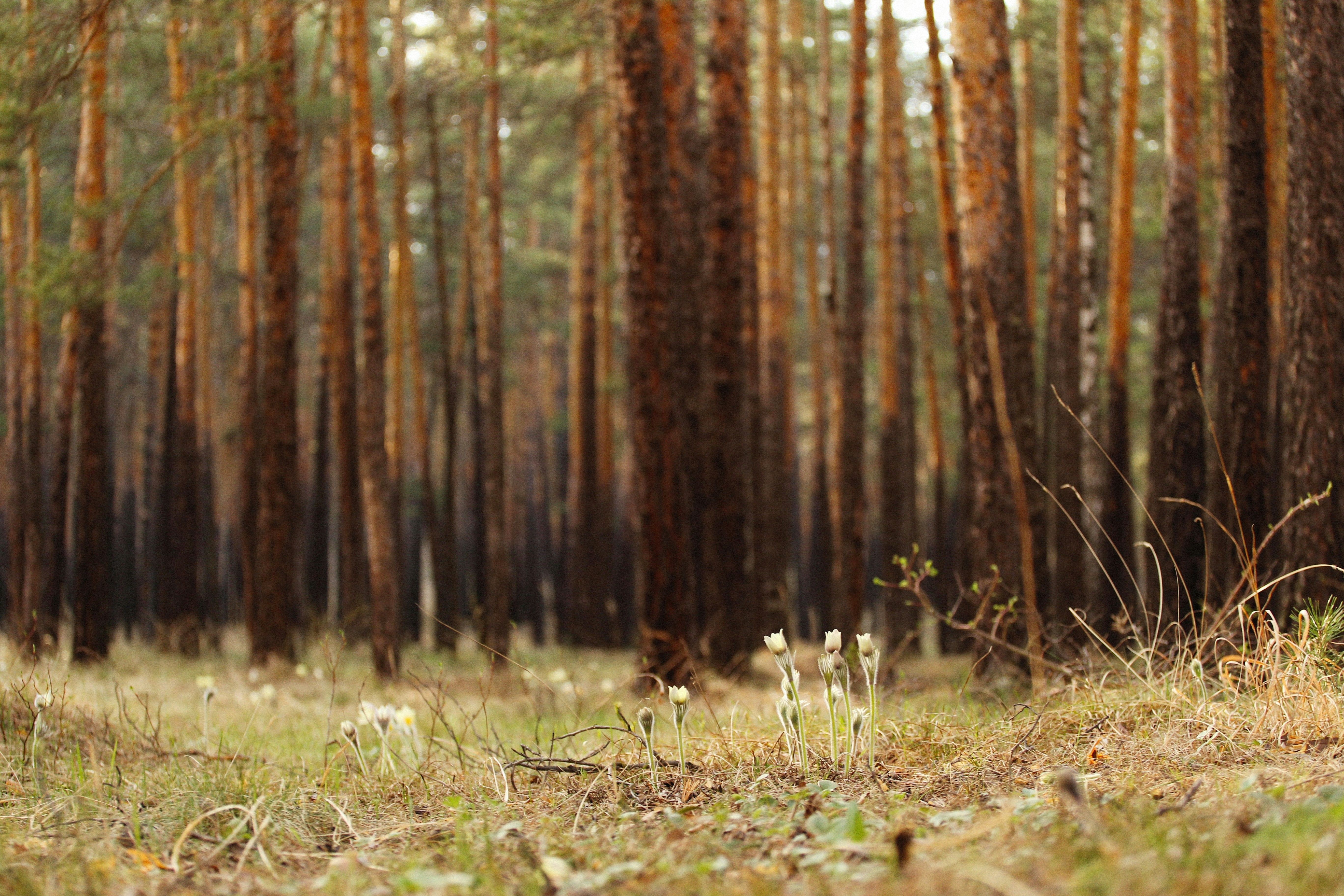 Photo by alexeydemidov